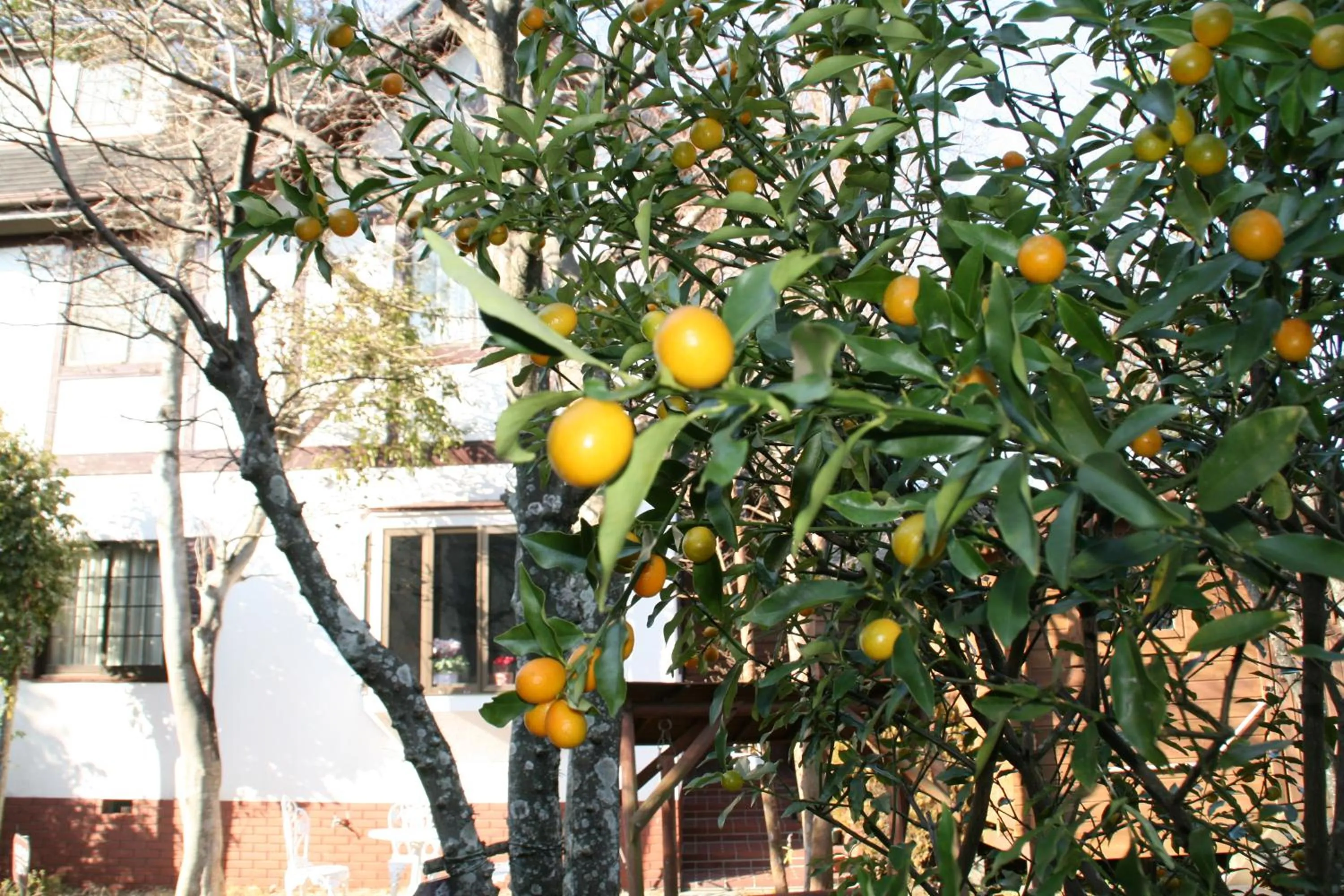 Facade/entrance in Pension Totem Pole