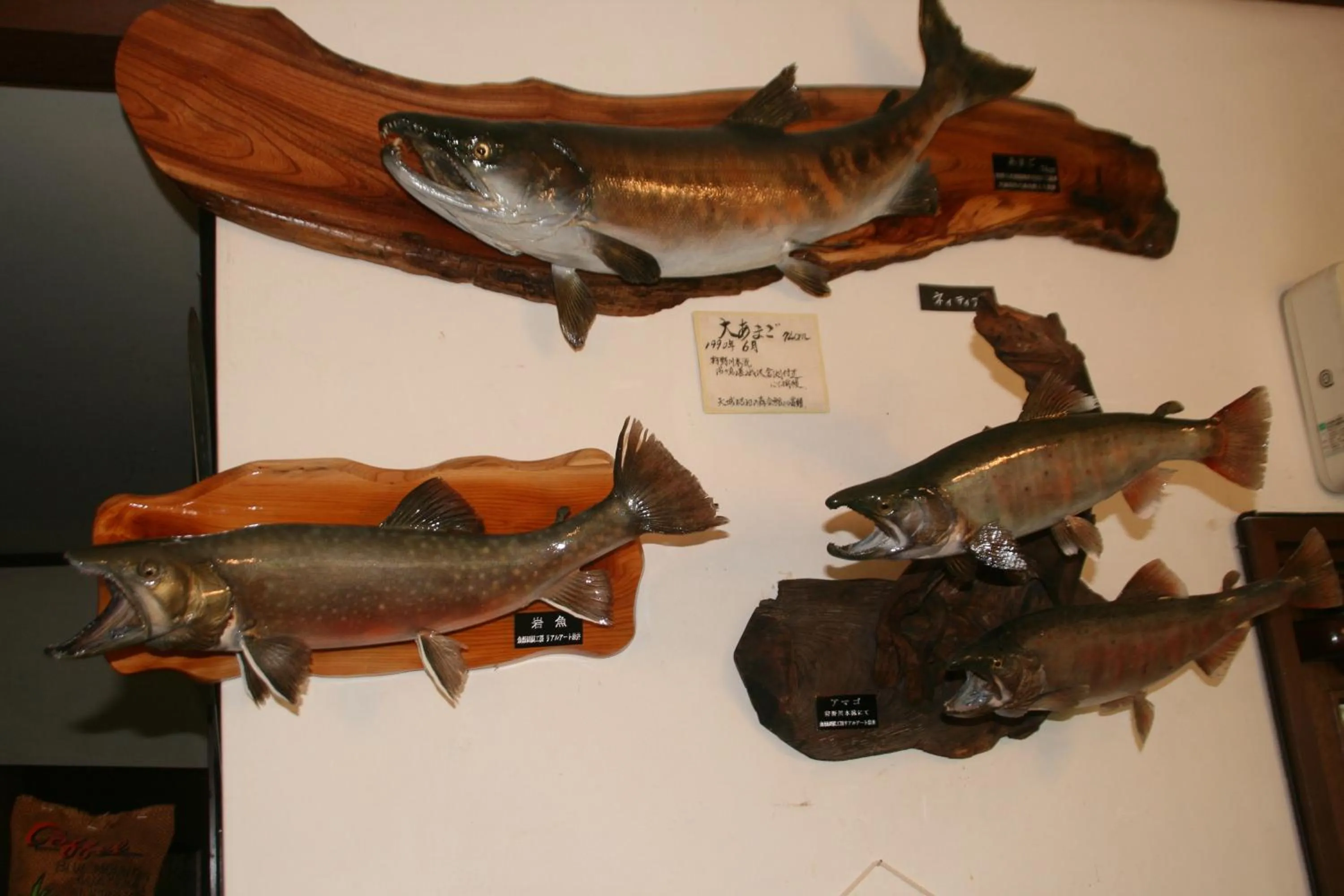 Decorative detail in Pension Totem Pole