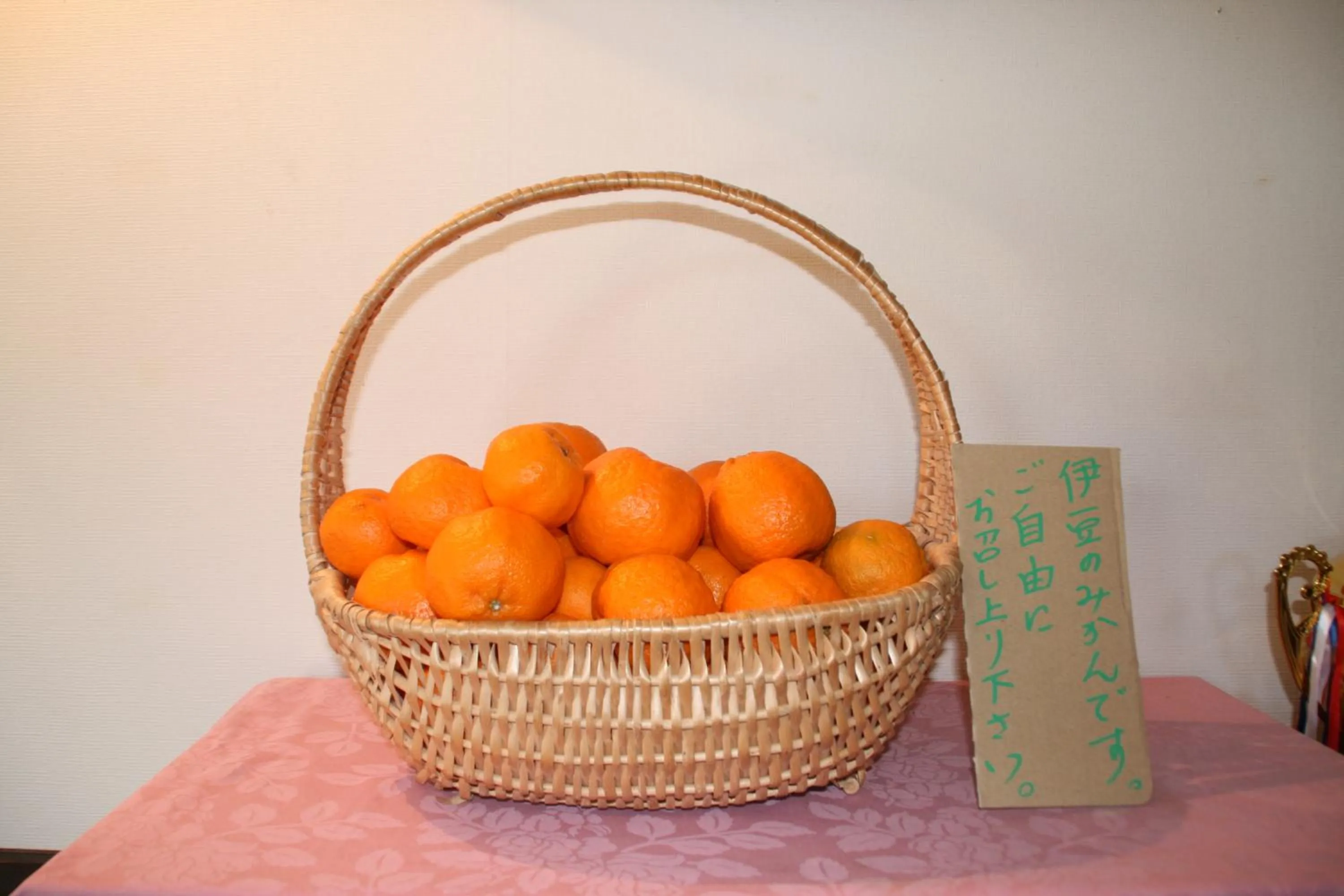 Communal lounge/ TV room in Pension Totem Pole