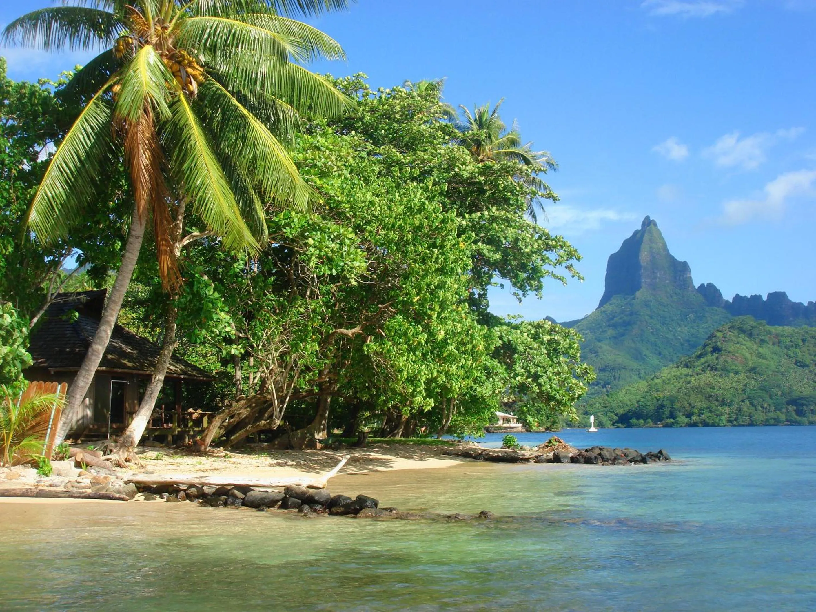 Beach in Robinson's Cove Villas