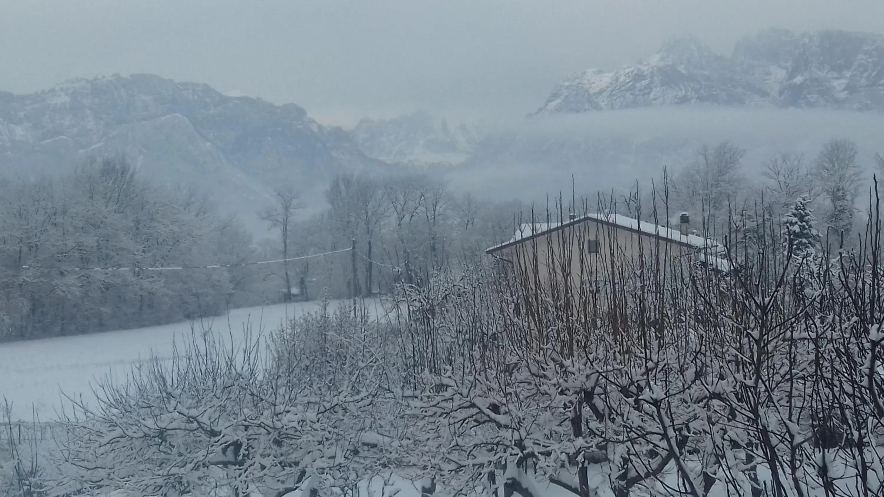 Natural landscape in Casa 1885