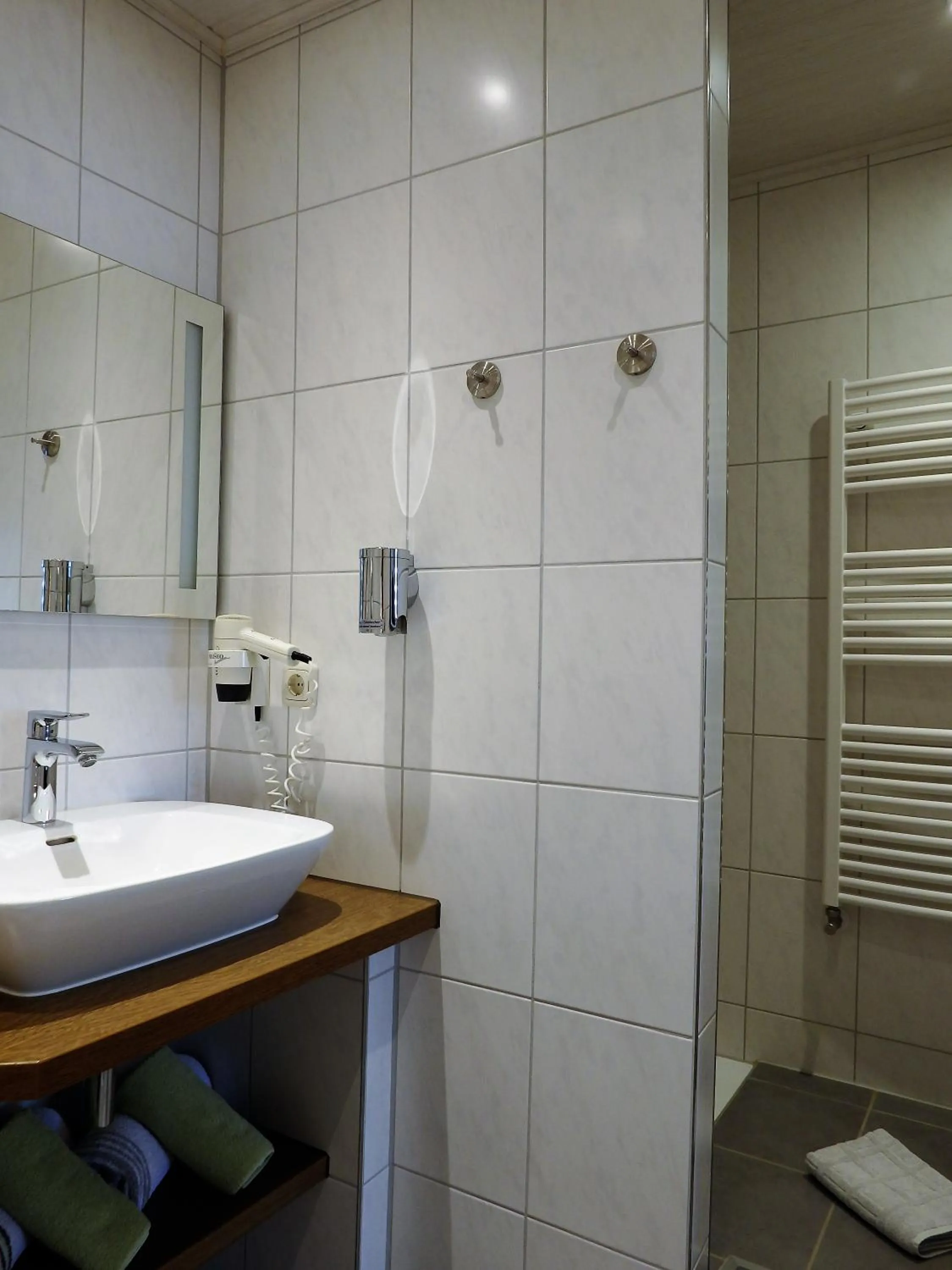 Photo of the whole room in Hotel Rose