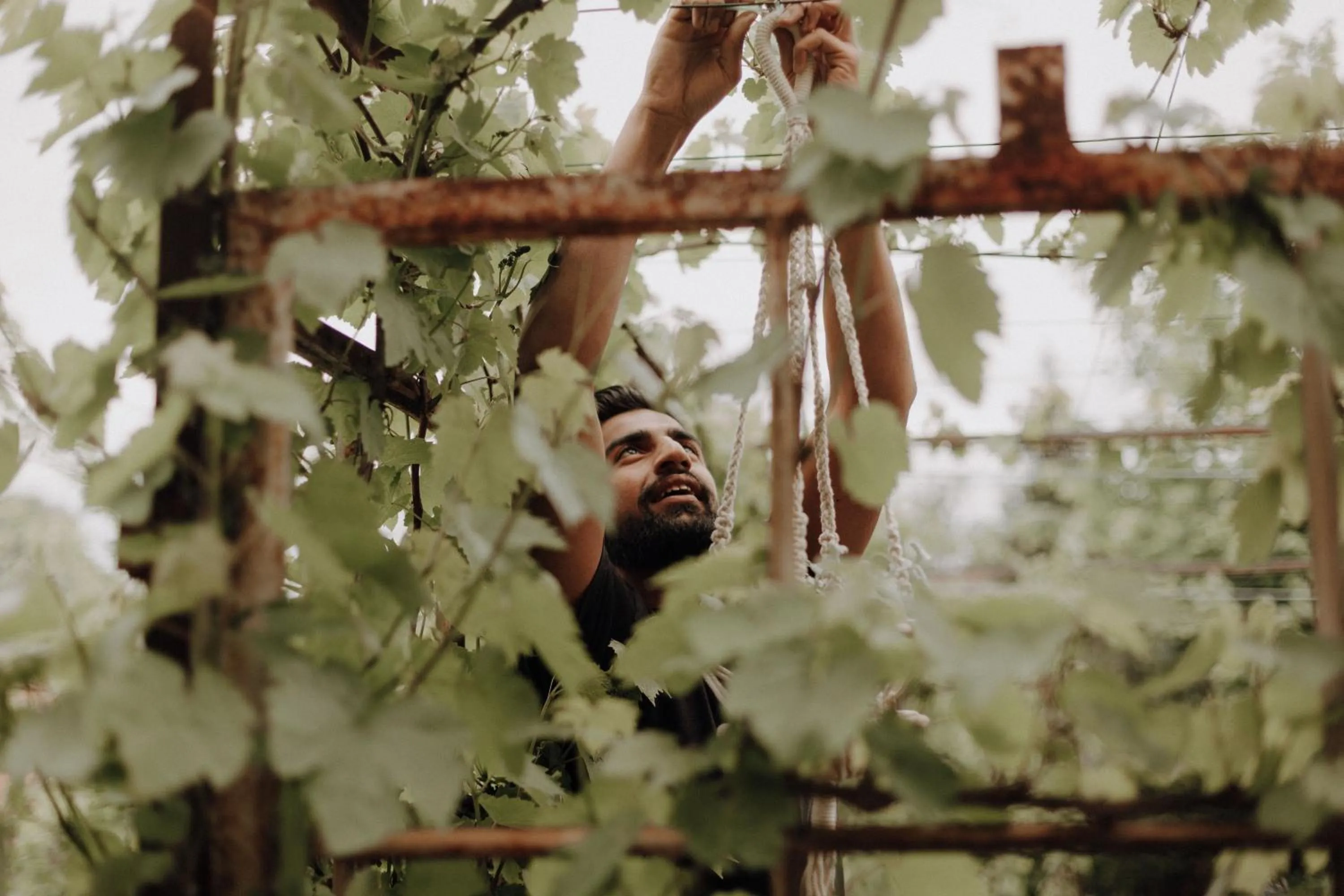 Restaurant/places to eat in Klosterhotel Neuzelle