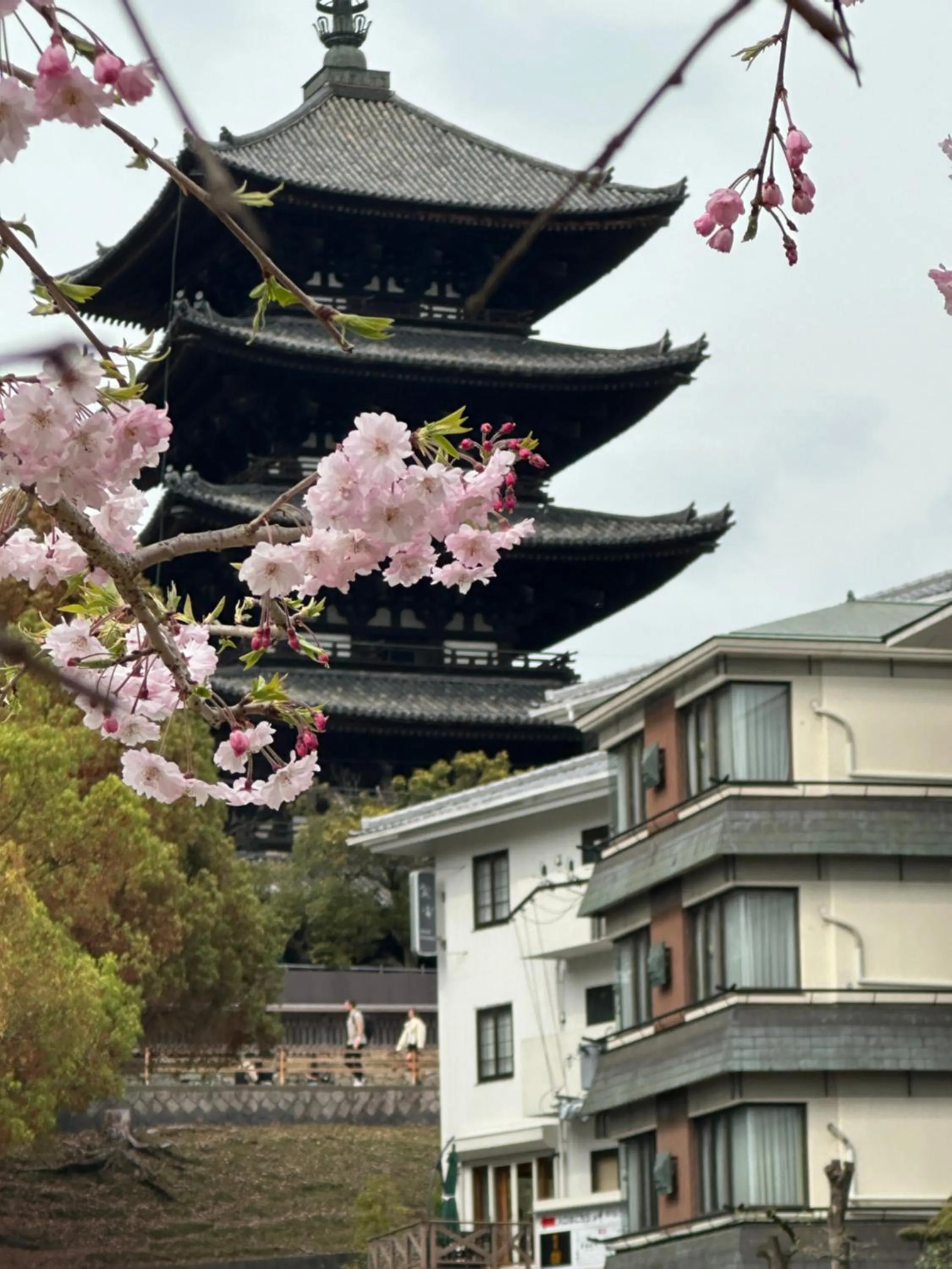 Ryokan Kousen Kazeya Group