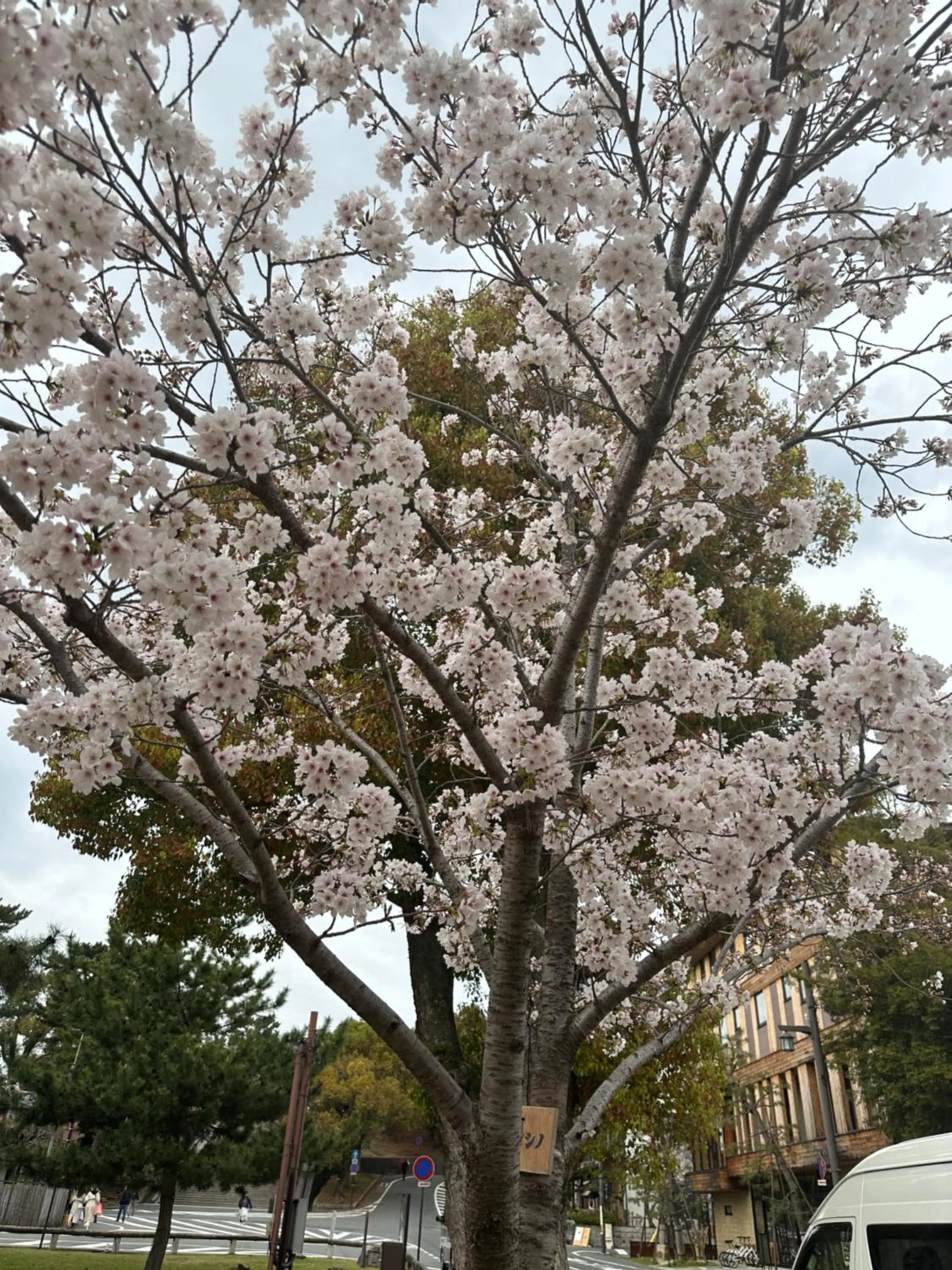 Ryokan Kousen Kazeya Group