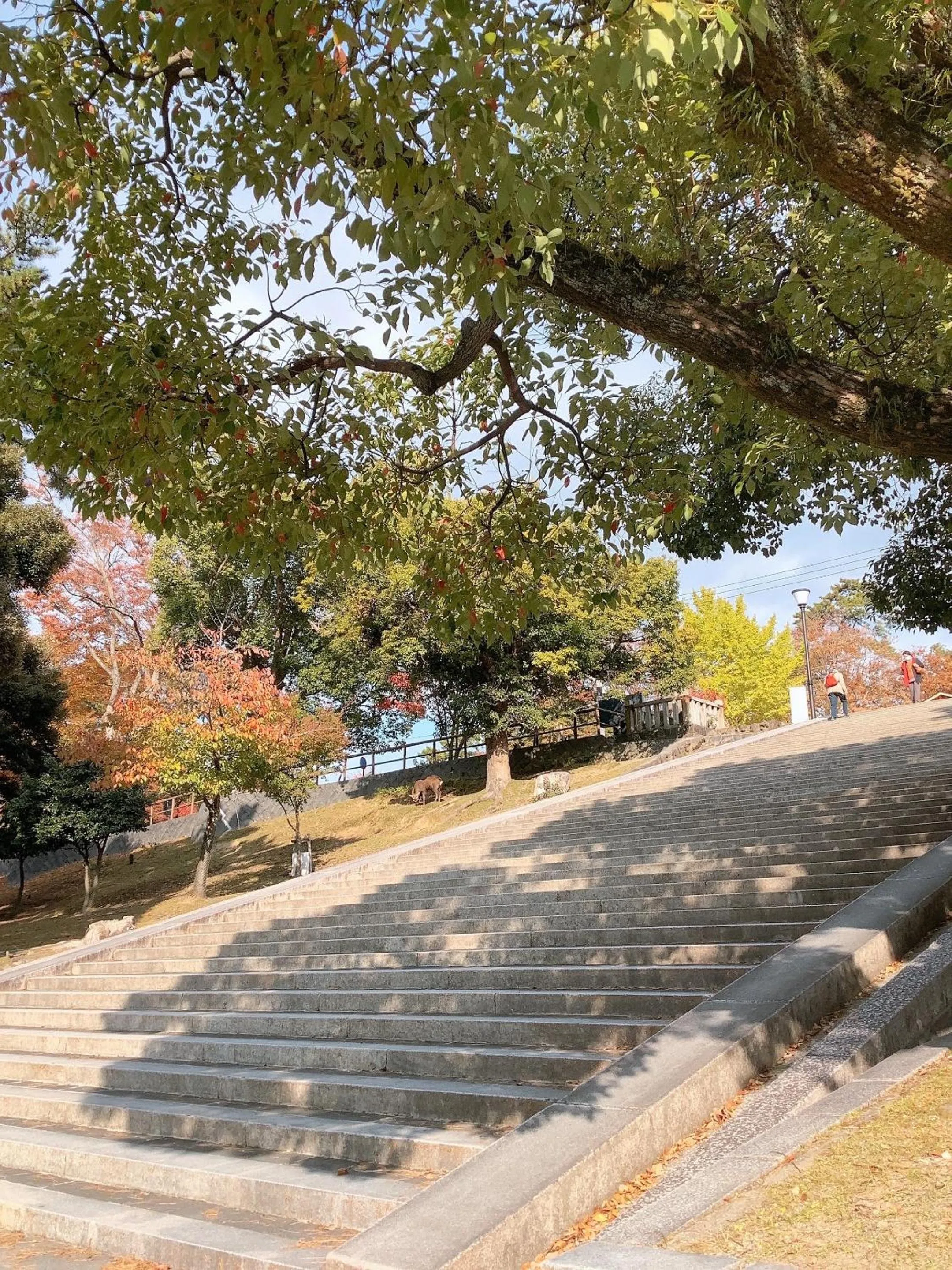Day in Ryokan Kousen Kazeya Group
