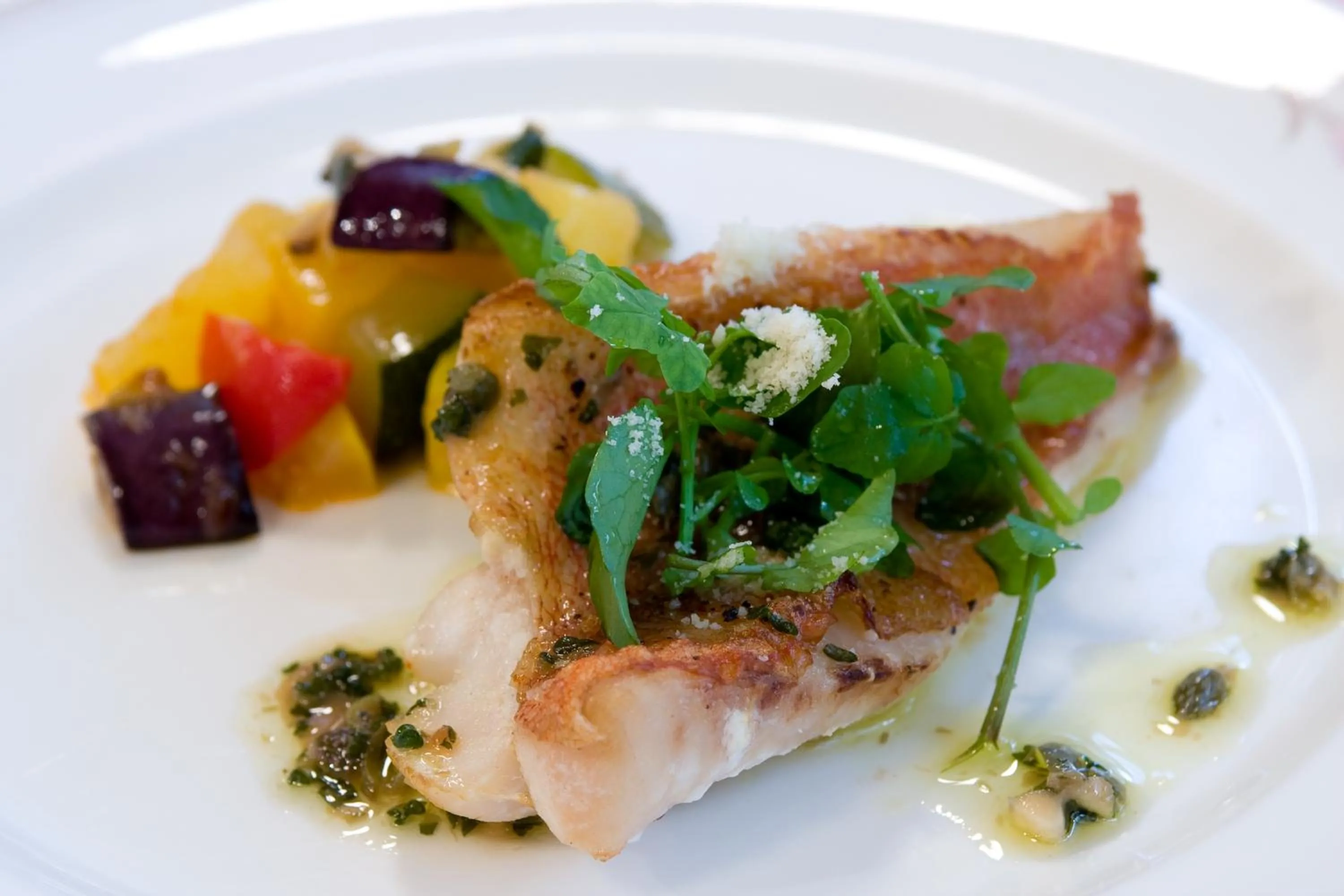 Dinner in Little Grebe