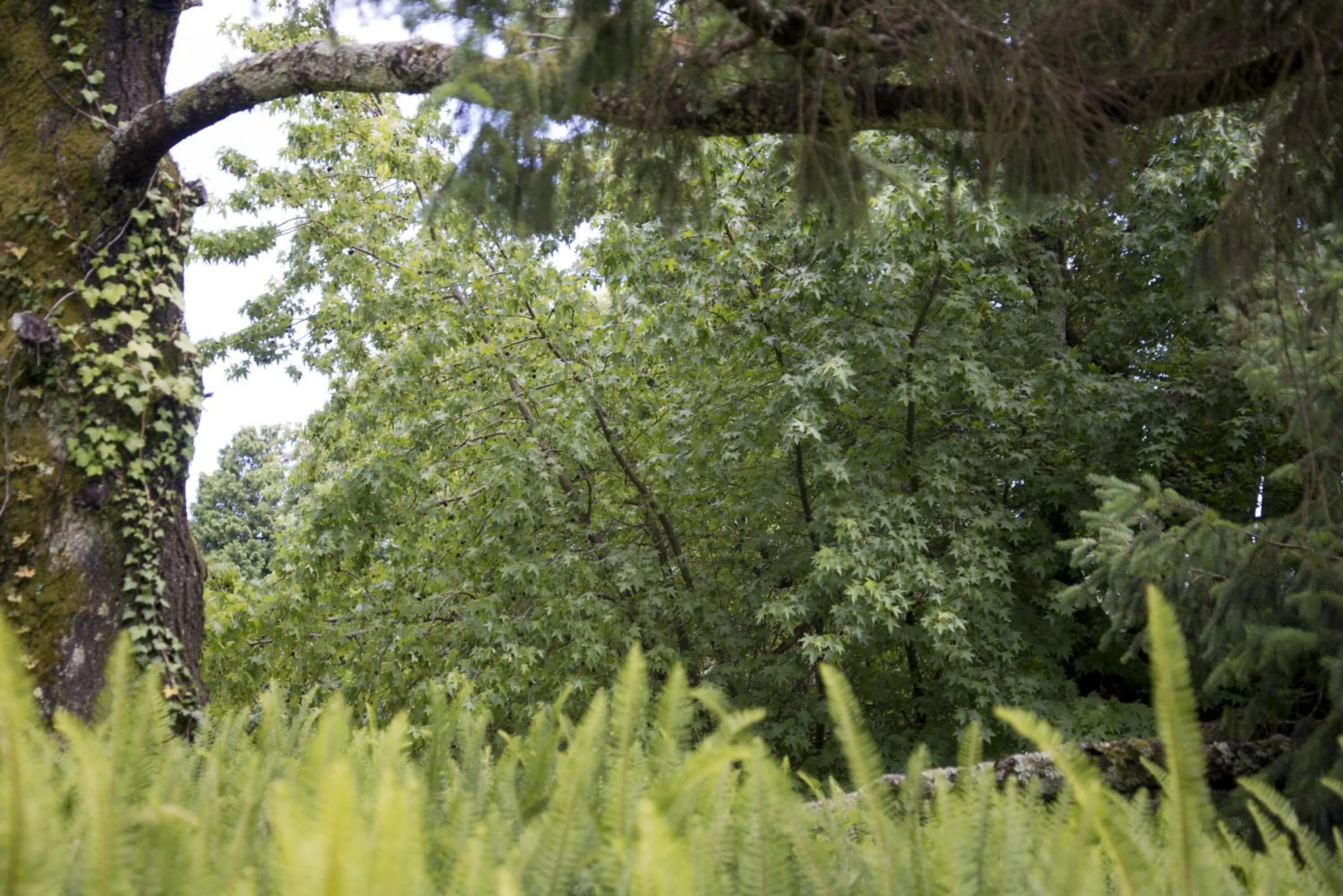 Garden in Quinta de Valverde