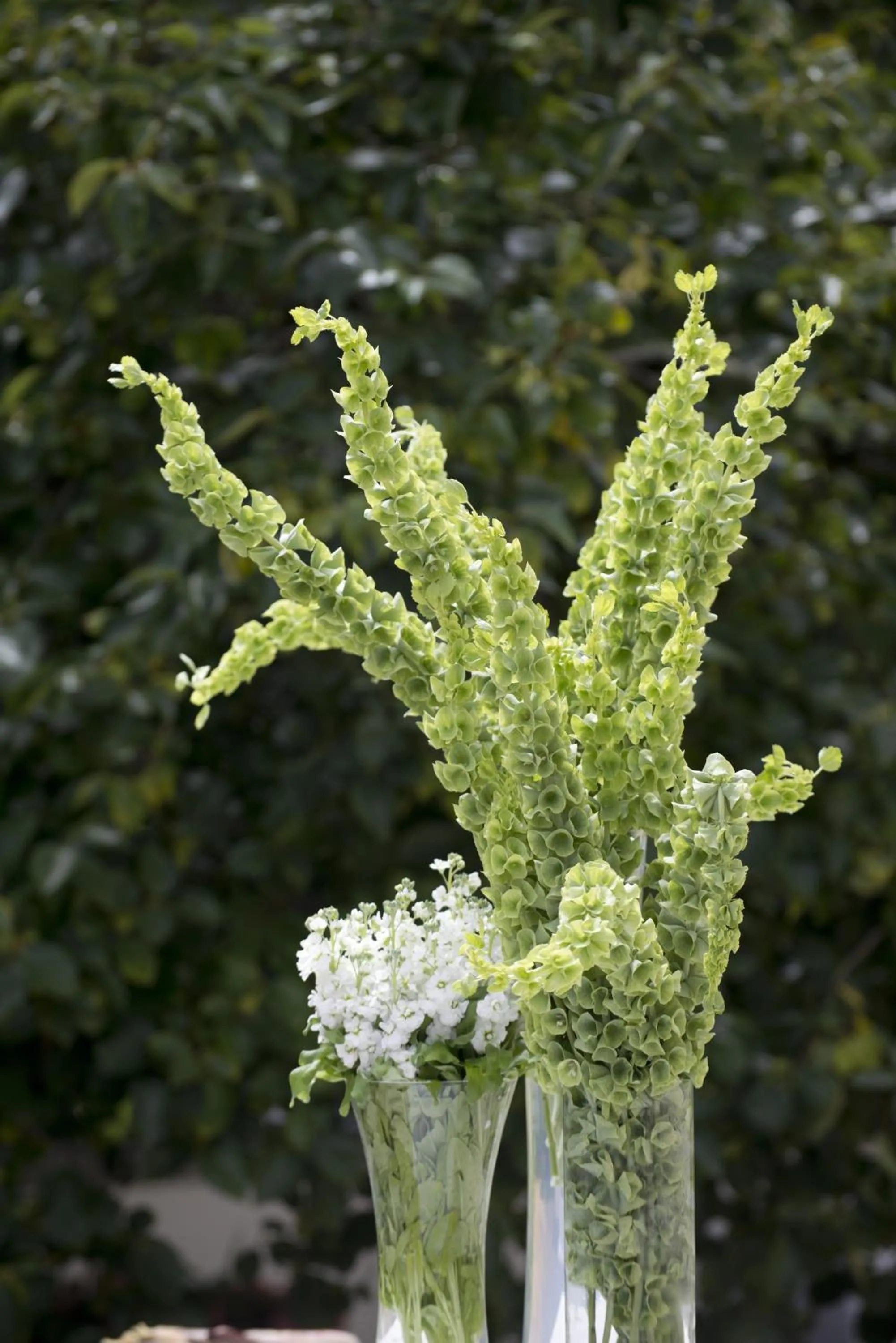 Garden in Quinta de Valverde