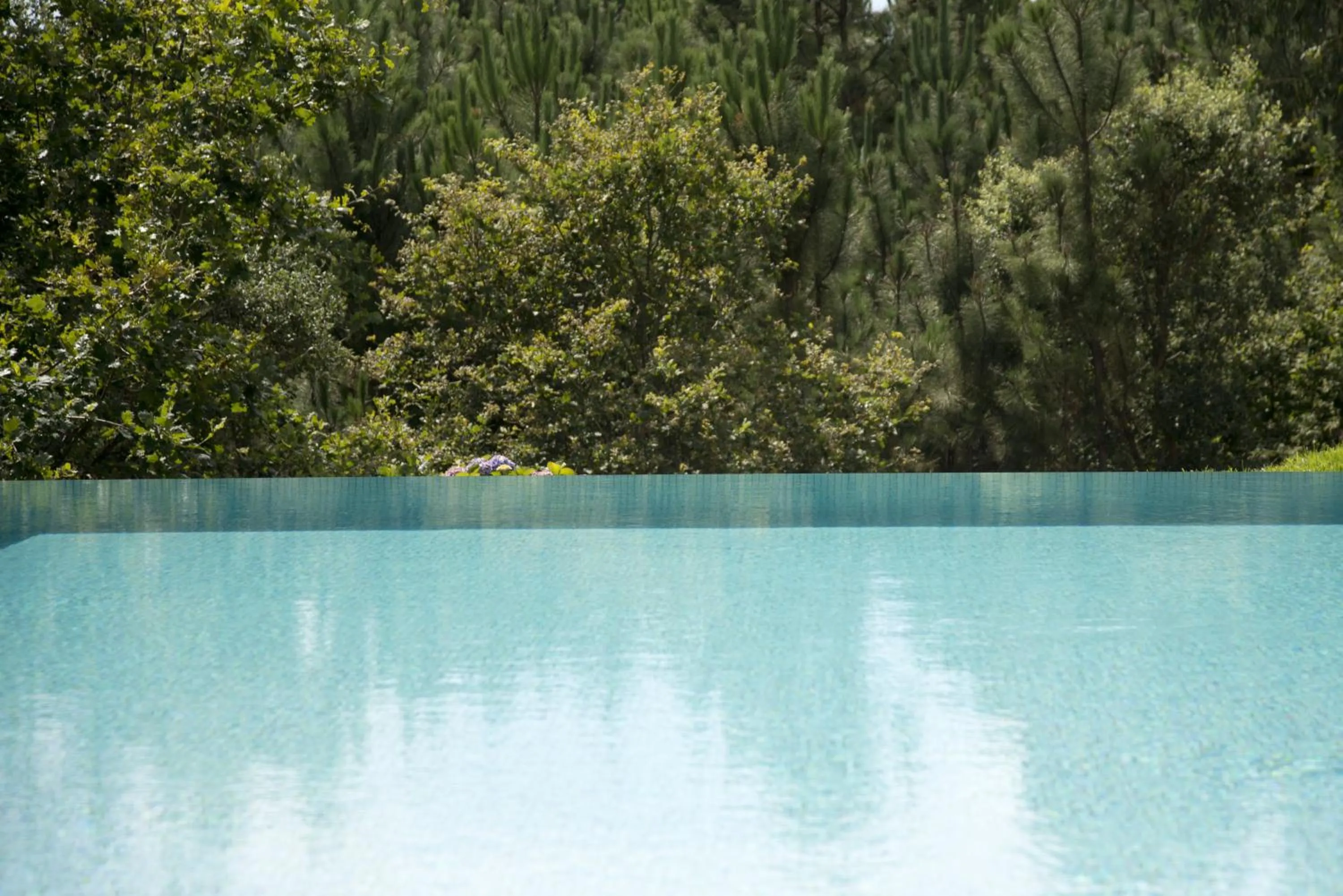 Swimming pool in Quinta de Valverde