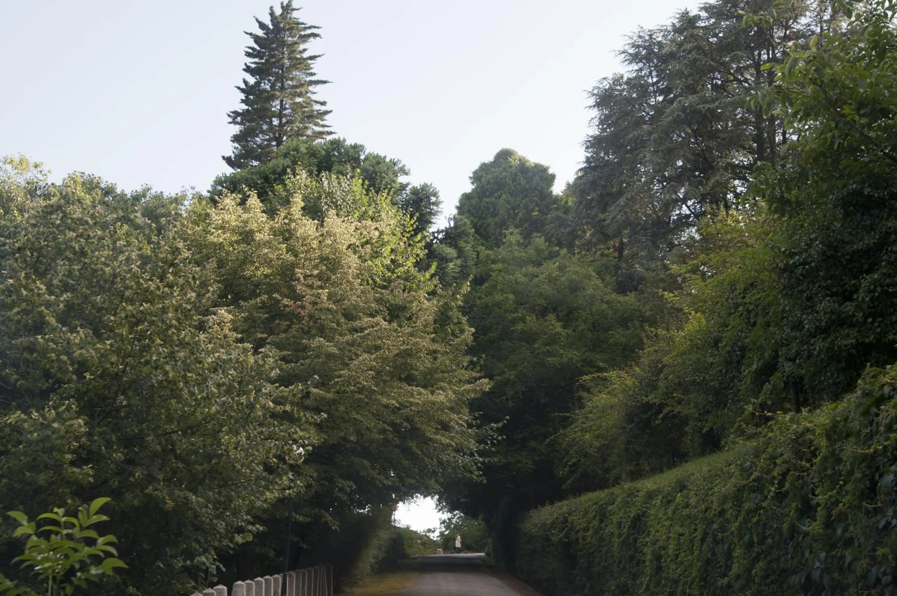 Garden in Quinta de Valverde