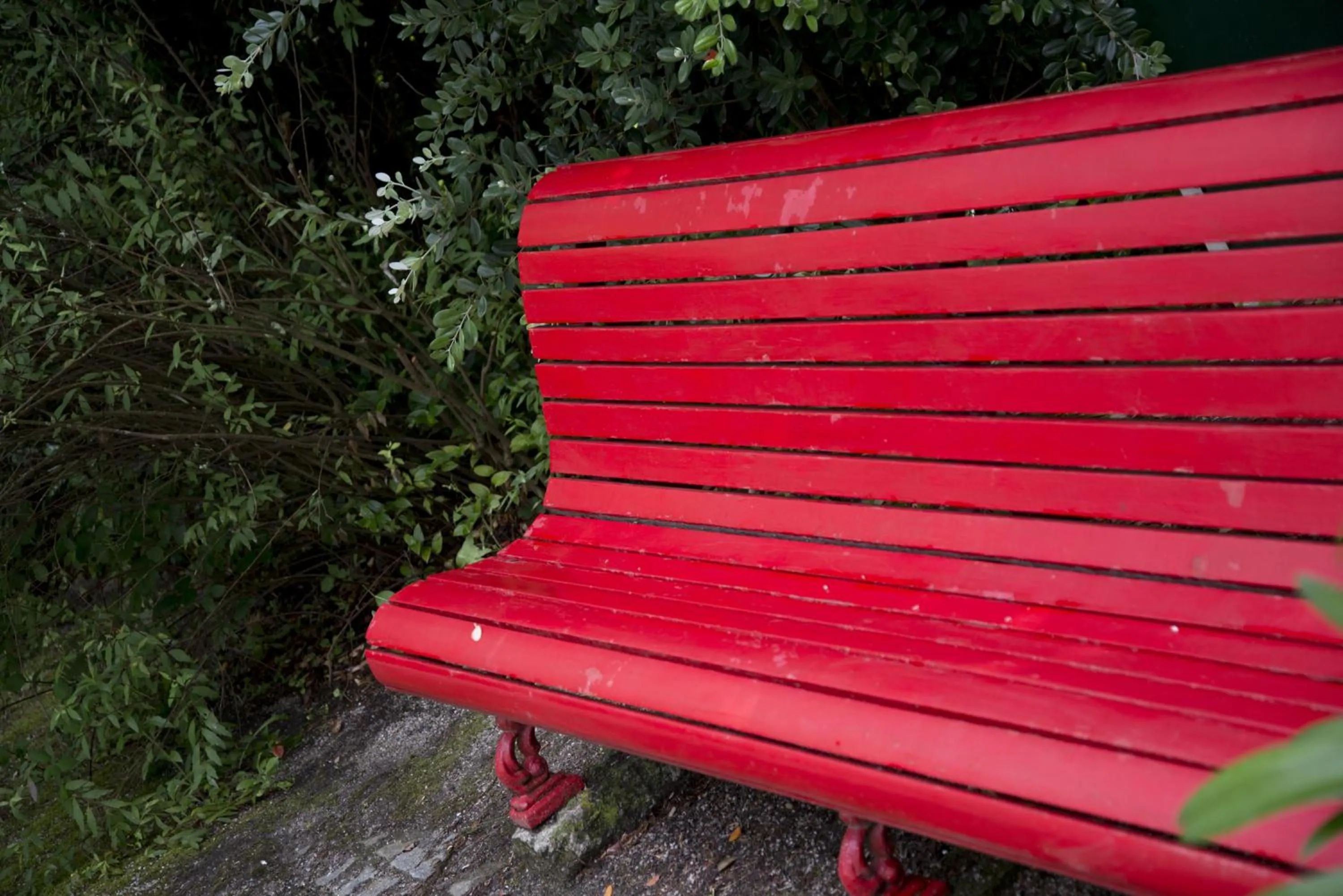 Garden in Quinta de Valverde