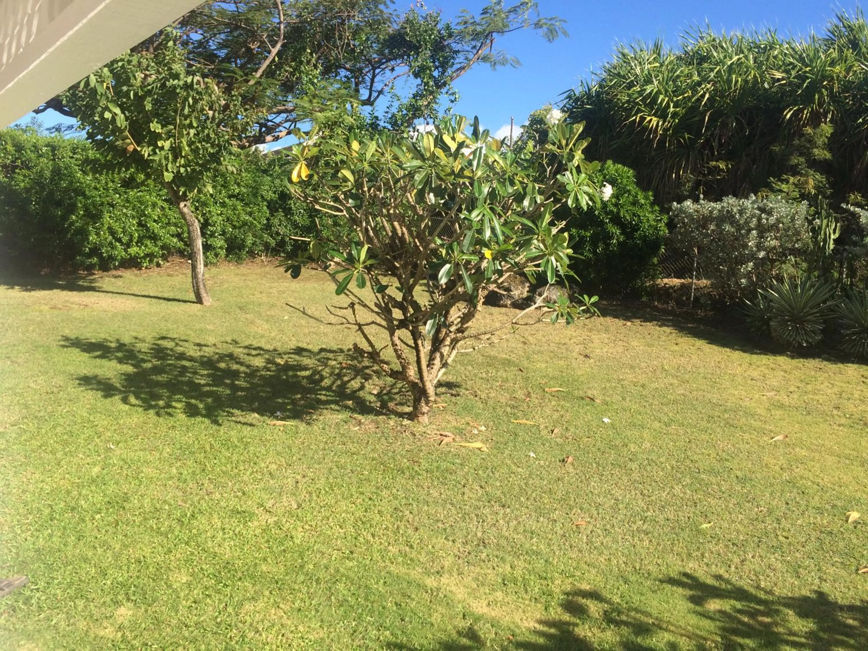 Garden view in Spacious White House Villa 1 minute to sandy beaches