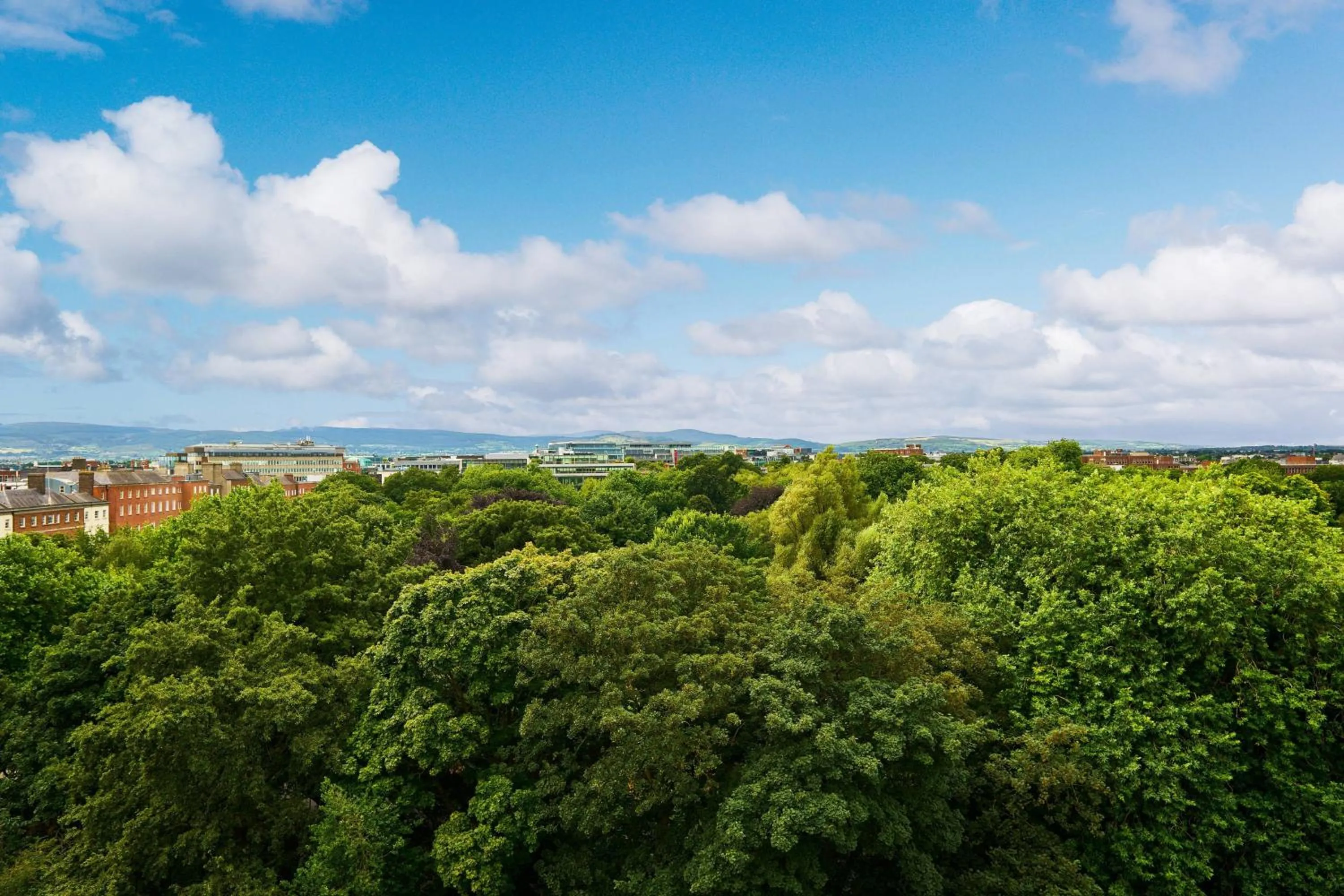 Photo of the whole room in The Shelbourne, Autograph Collection