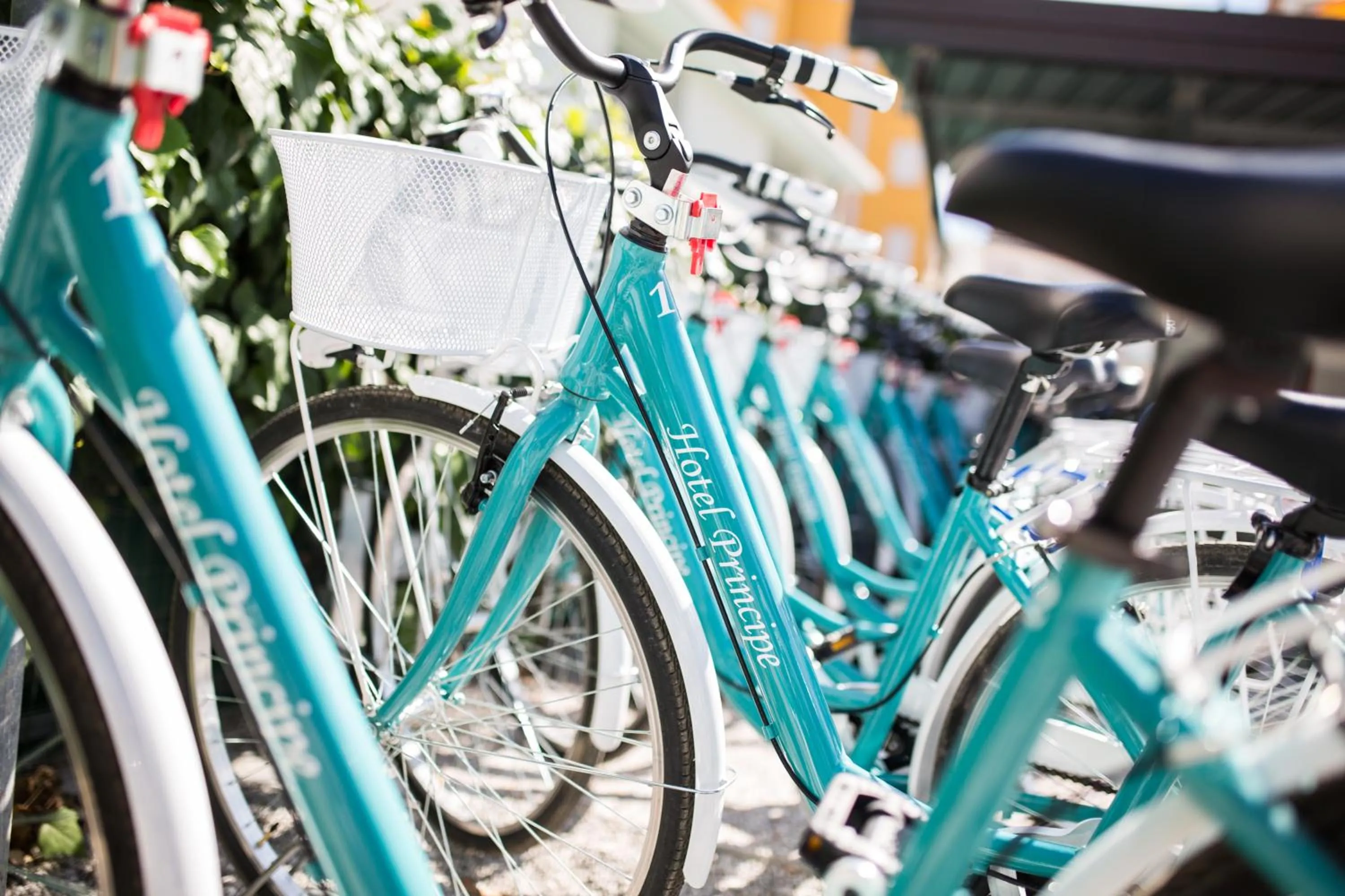 Cycling in Hotel Principe