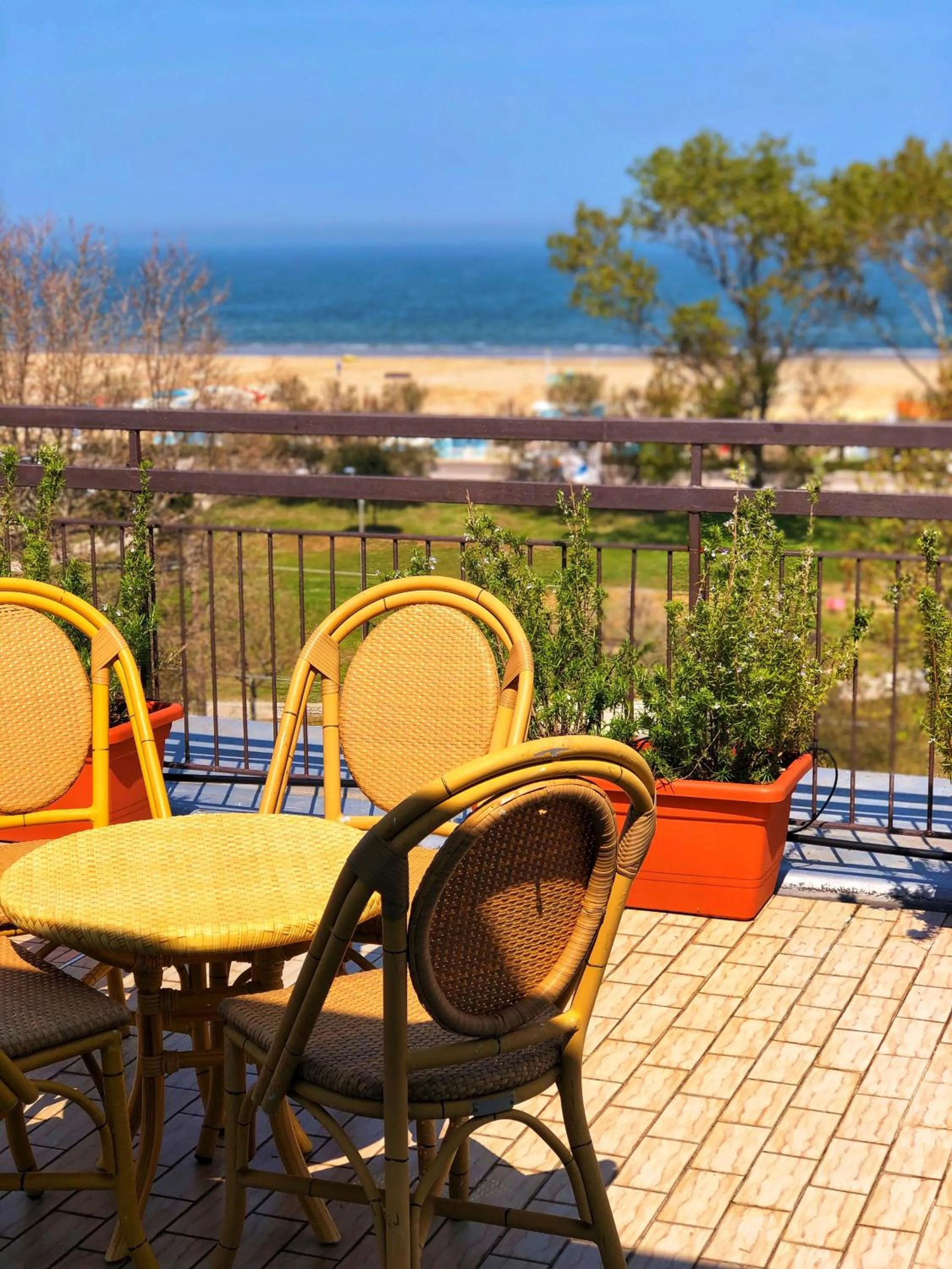 Balcony/Terrace in Hotel Amoha
