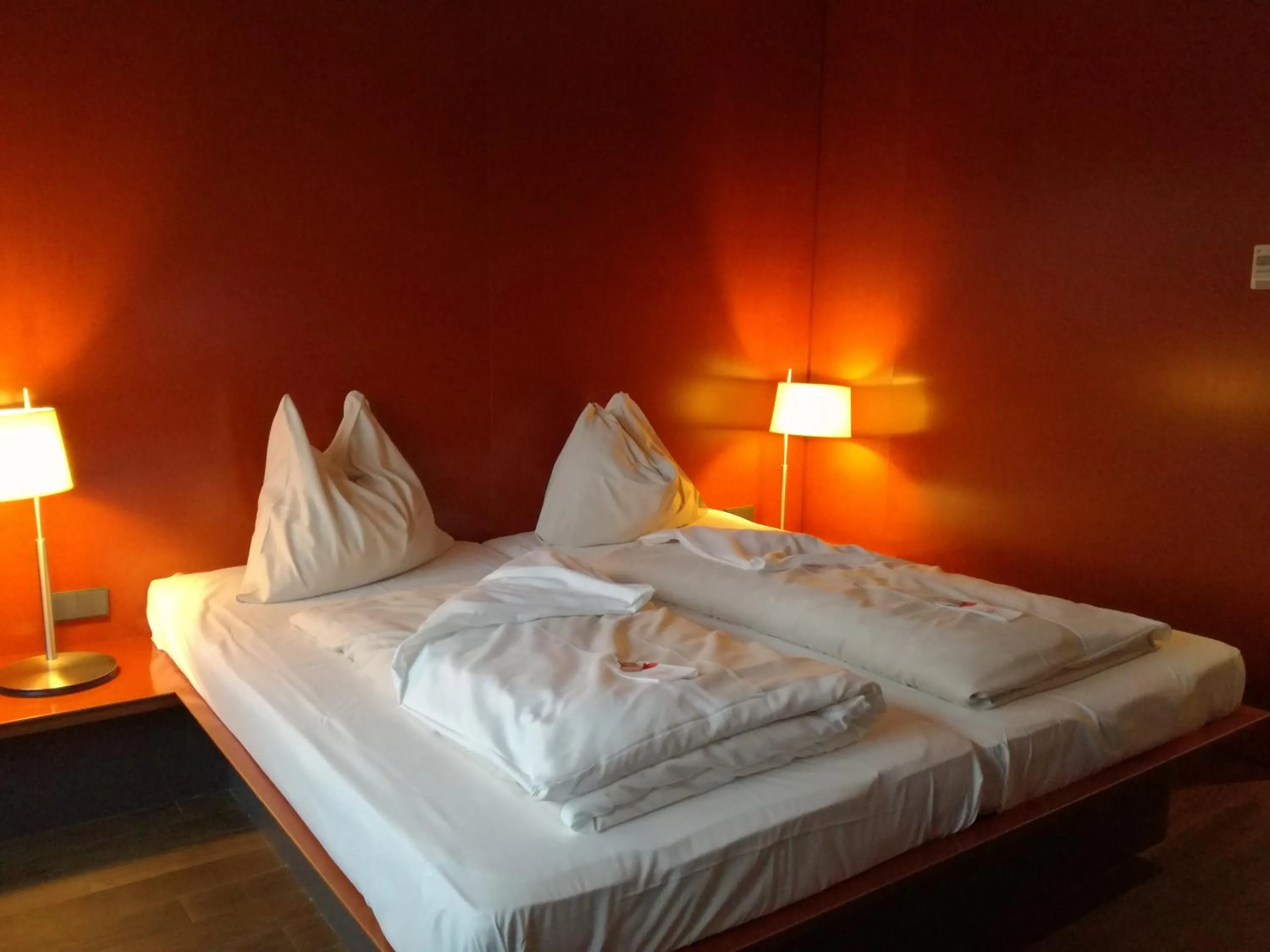 Double Room - single occupancy in Rosenberger Motor-Hotel Ansfelden