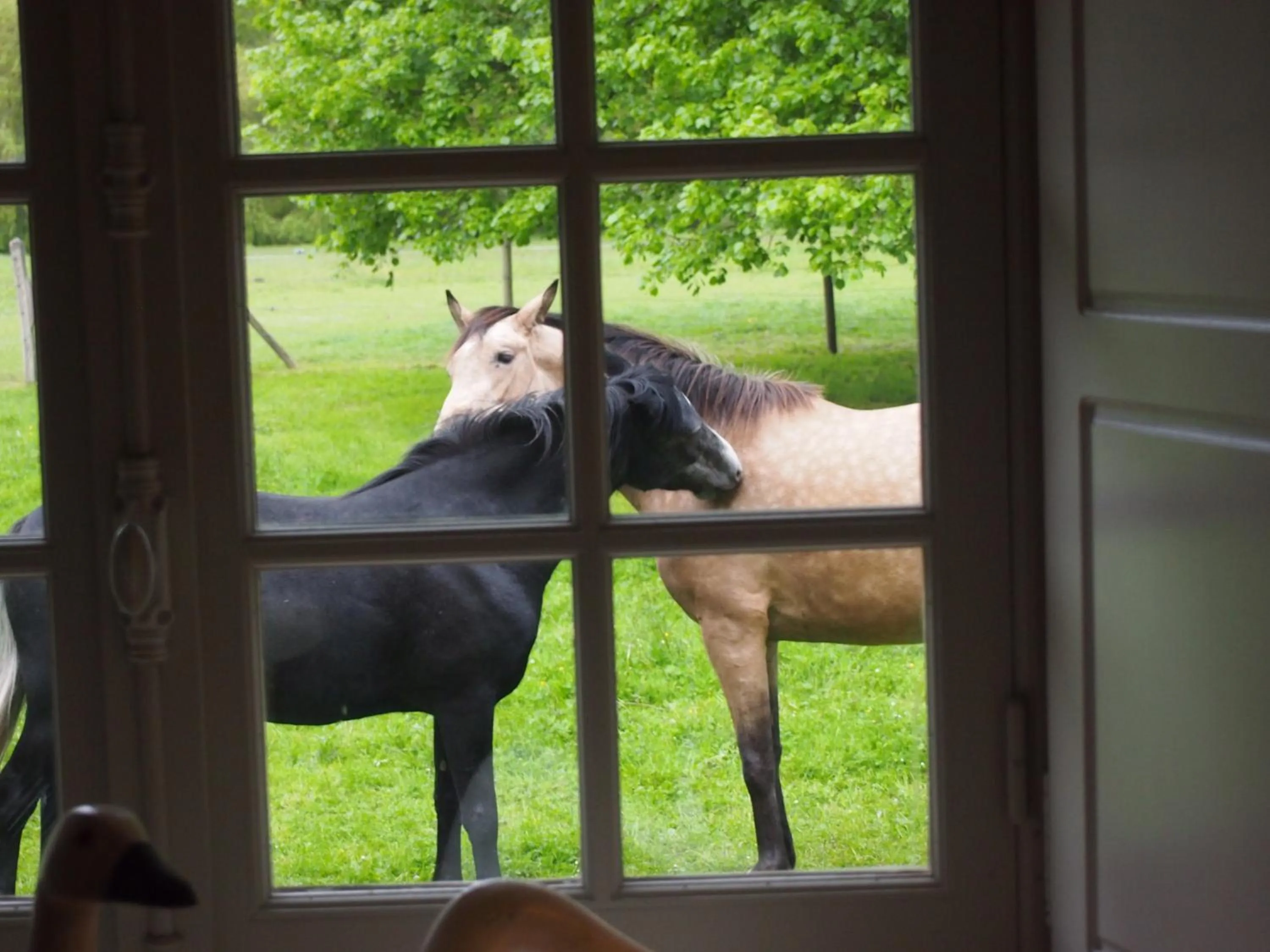 View (from property/room) in Gite et Chambres d'Hôtes Clos de Mondetour