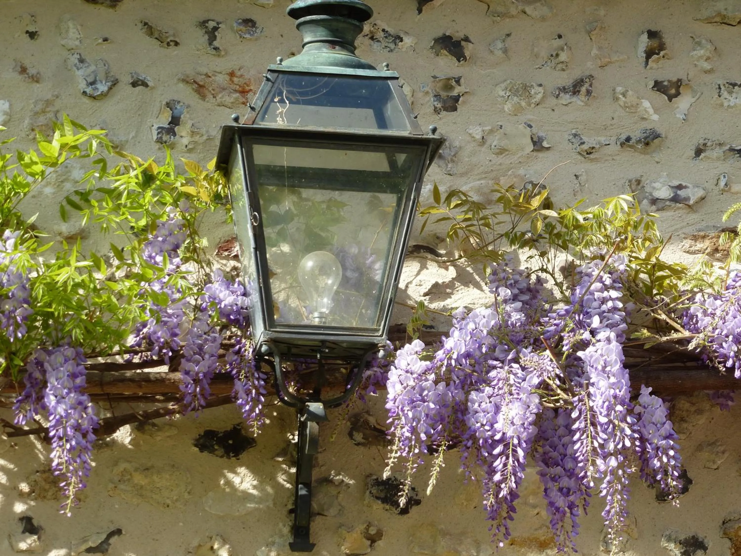 Spring in Gite et Chambres d'Hôtes Clos de Mondetour