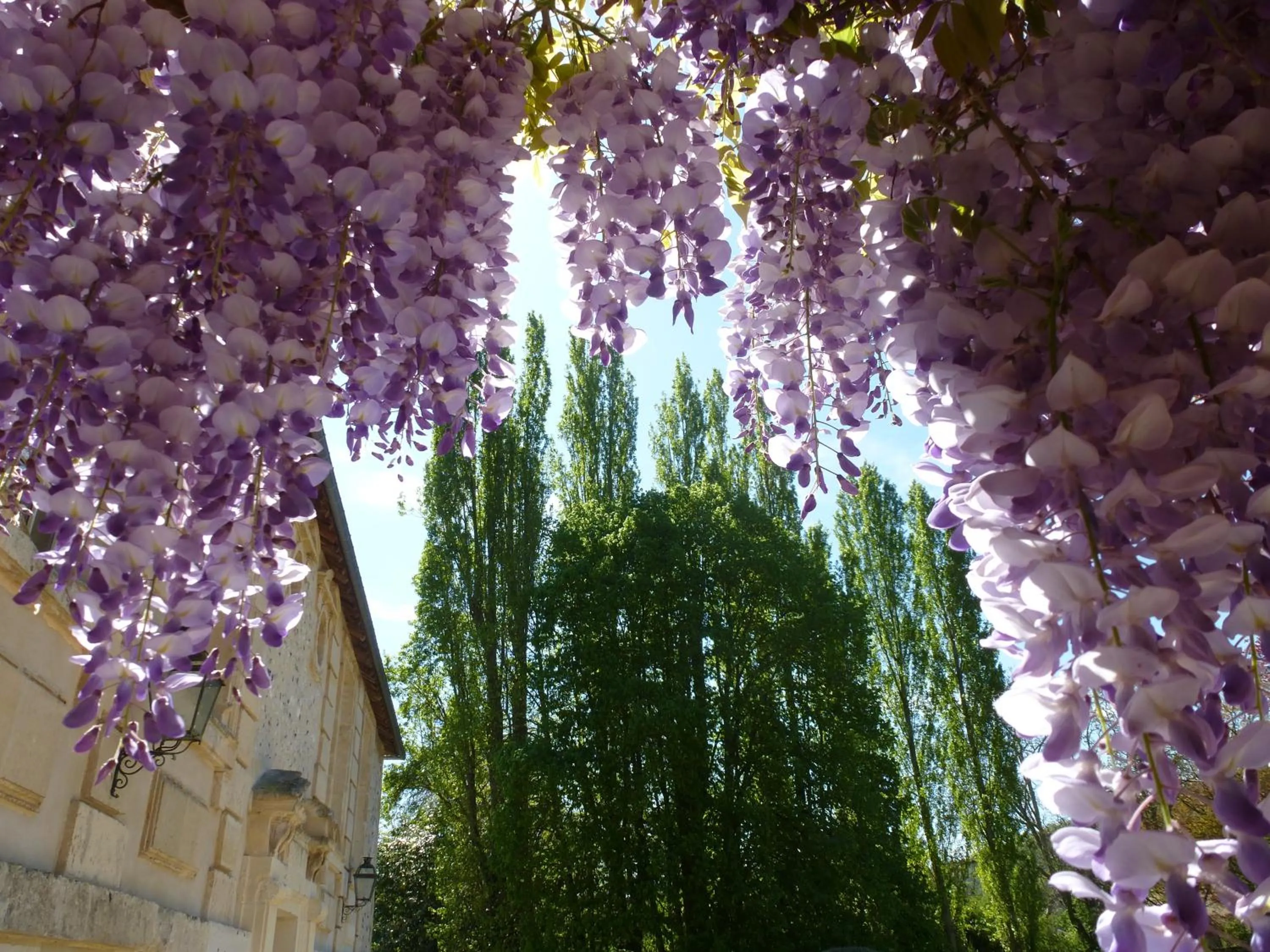 Garden in Gite et Chambres d'Hôtes Clos de Mondetour