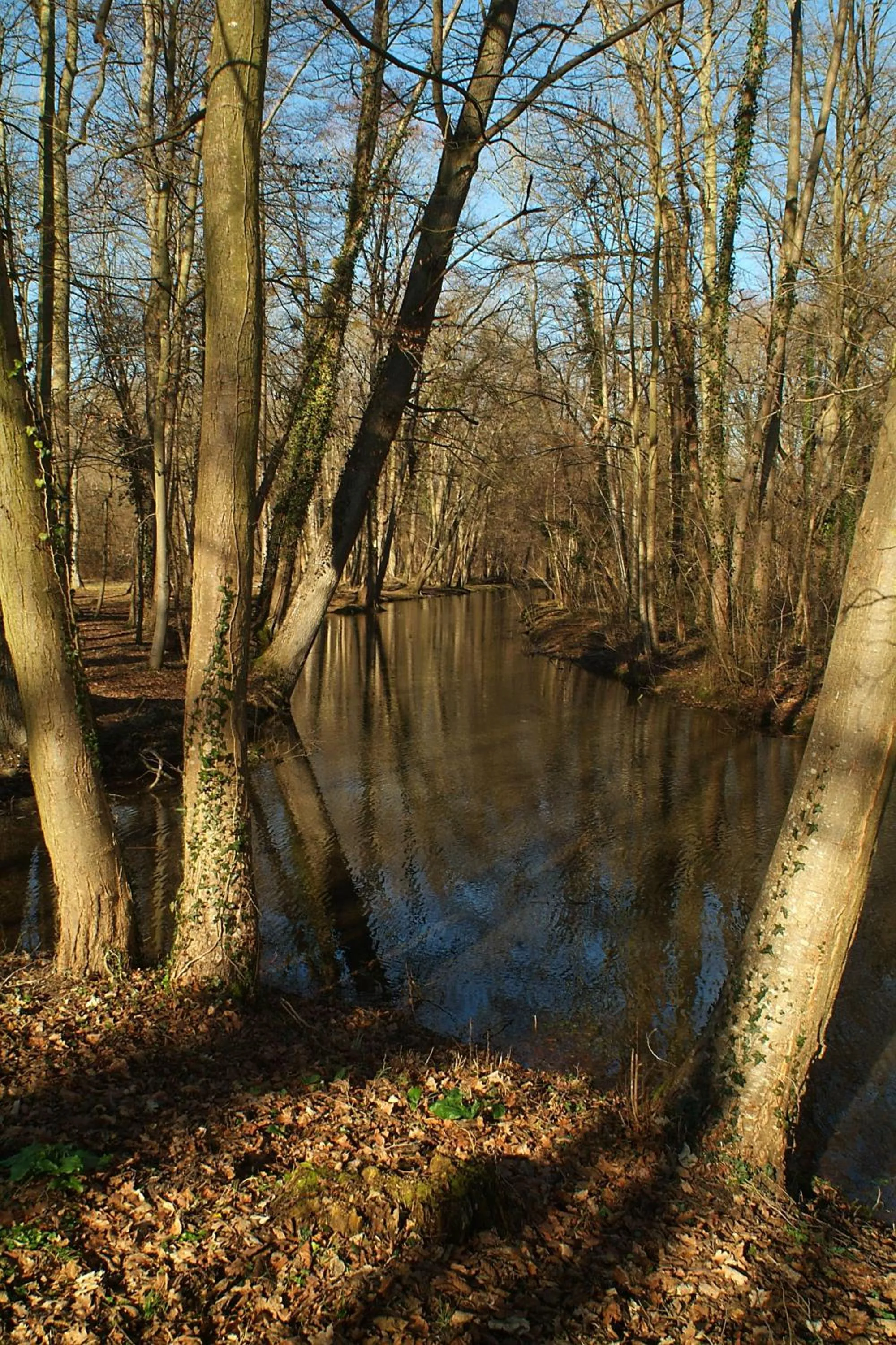 Area and facilities in Gite et Chambres d'Hôtes Clos de Mondetour