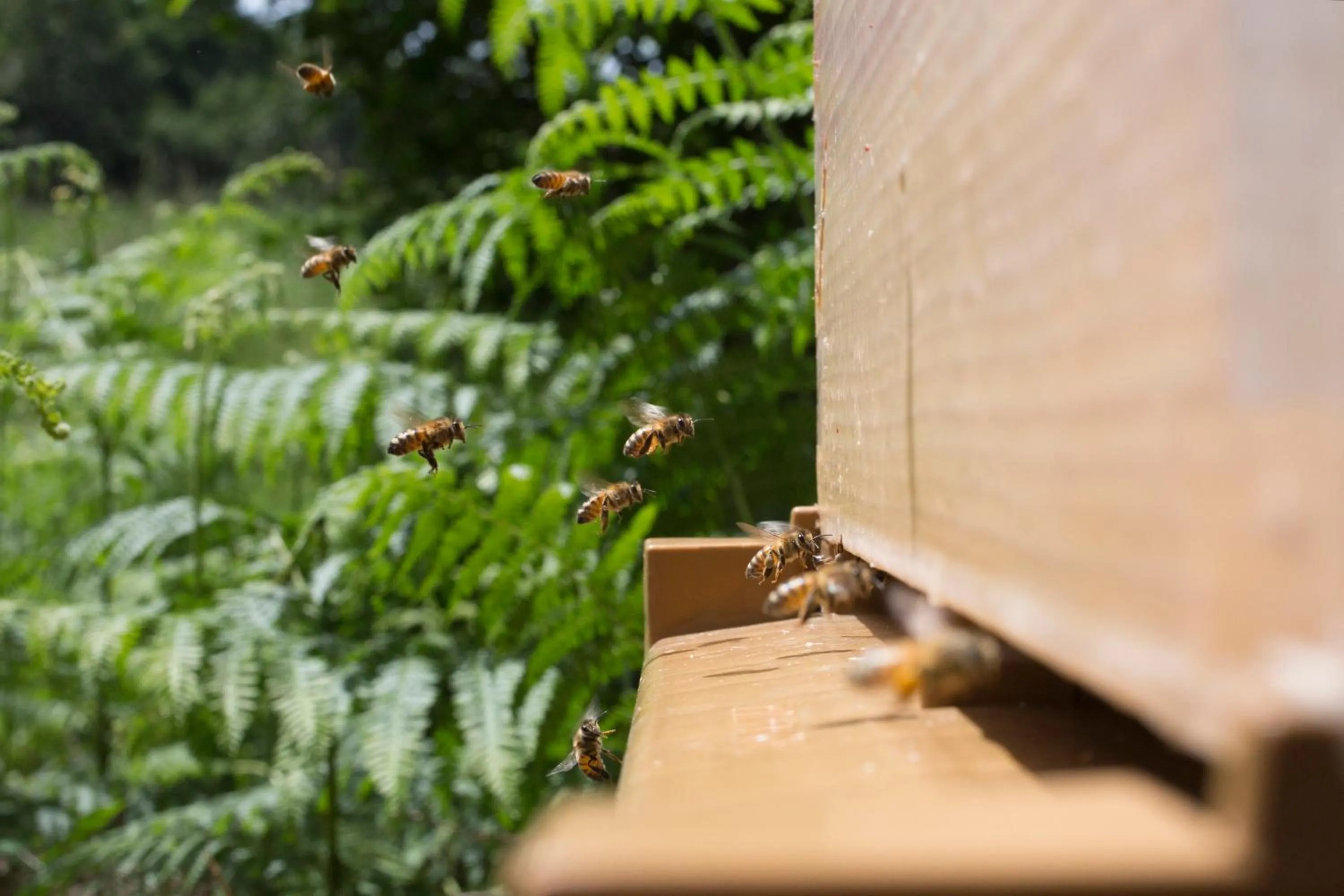 Garden in Les Hauts de Loire Relais & Châteaux