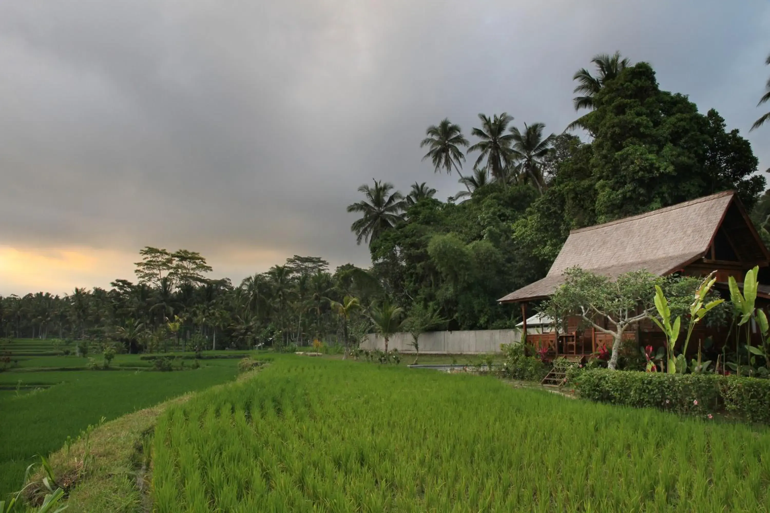 Villa with Private Pool in Benisari Batik Garden Cottage Villa with Private Pool in Benisari Batik Garden Cottage