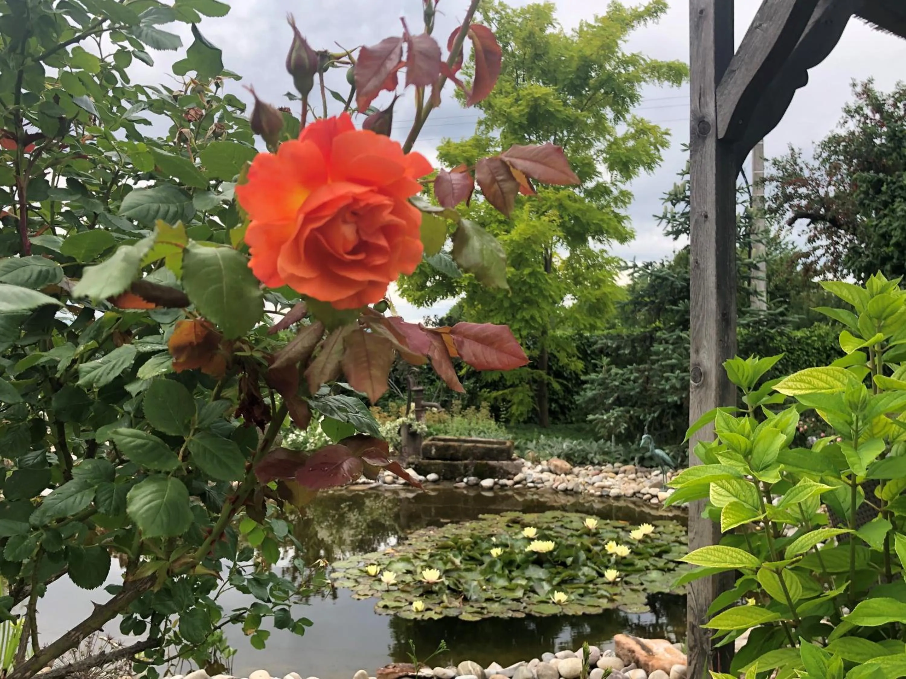 Garden in Au Relais de l'Ill