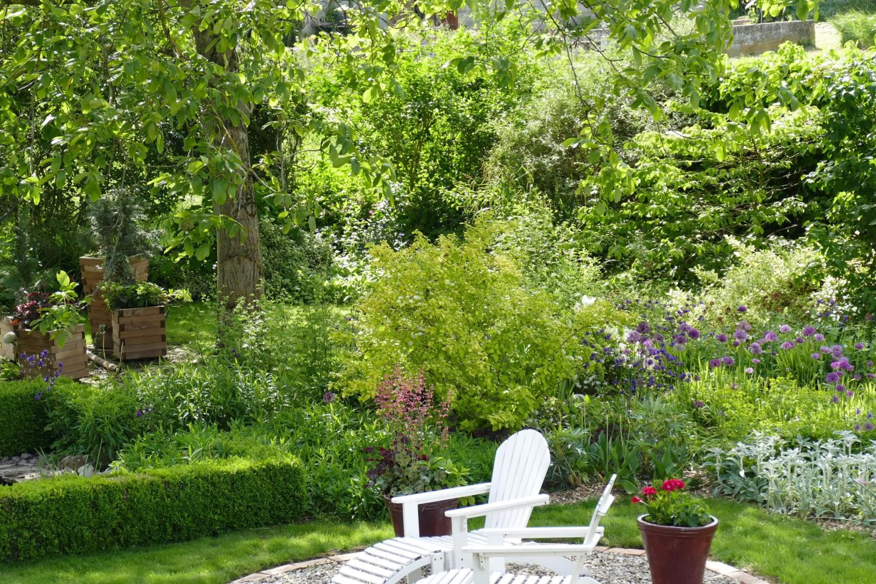 Garden view in Au Relais de l'Ill