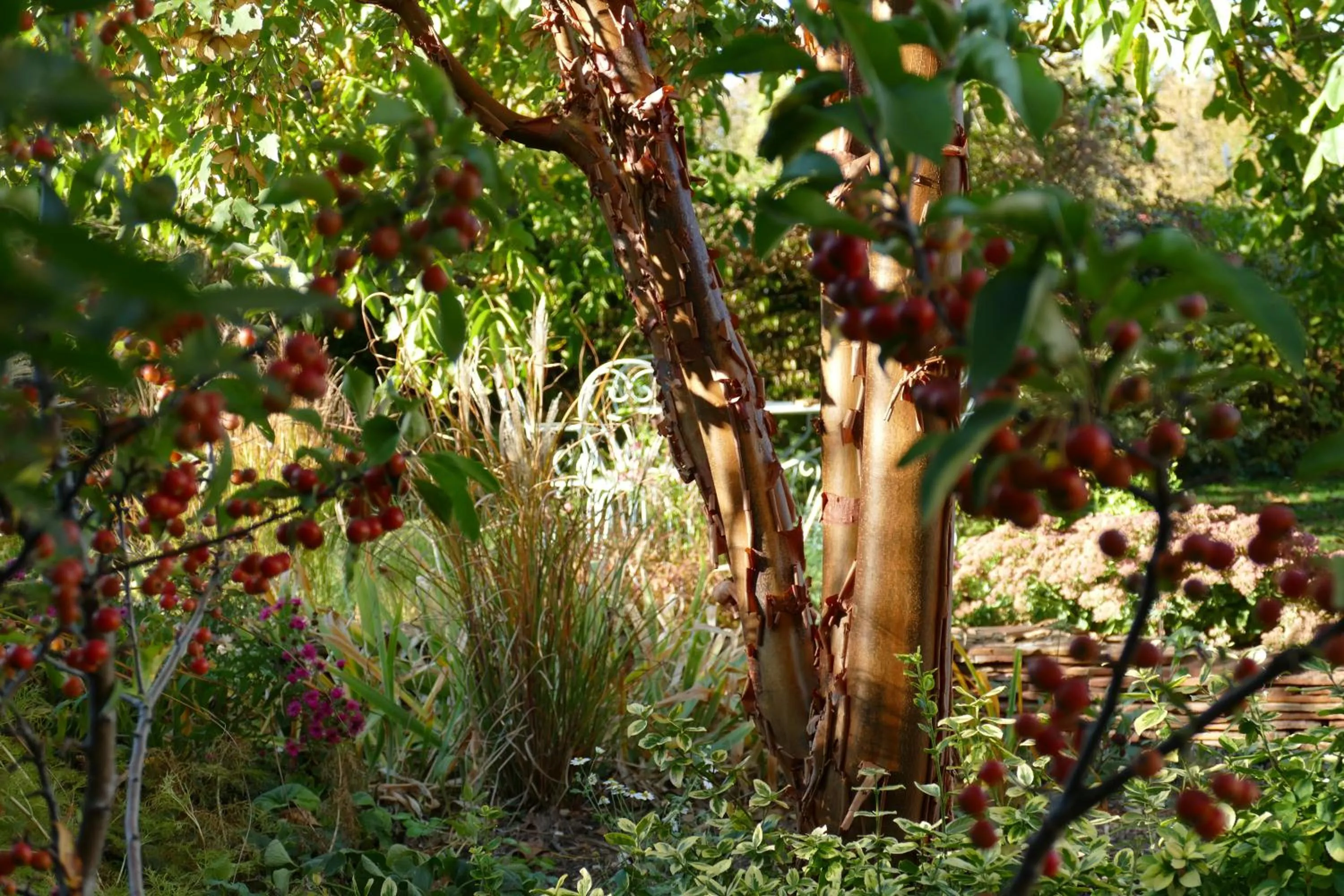 Garden in Au Relais de l'Ill