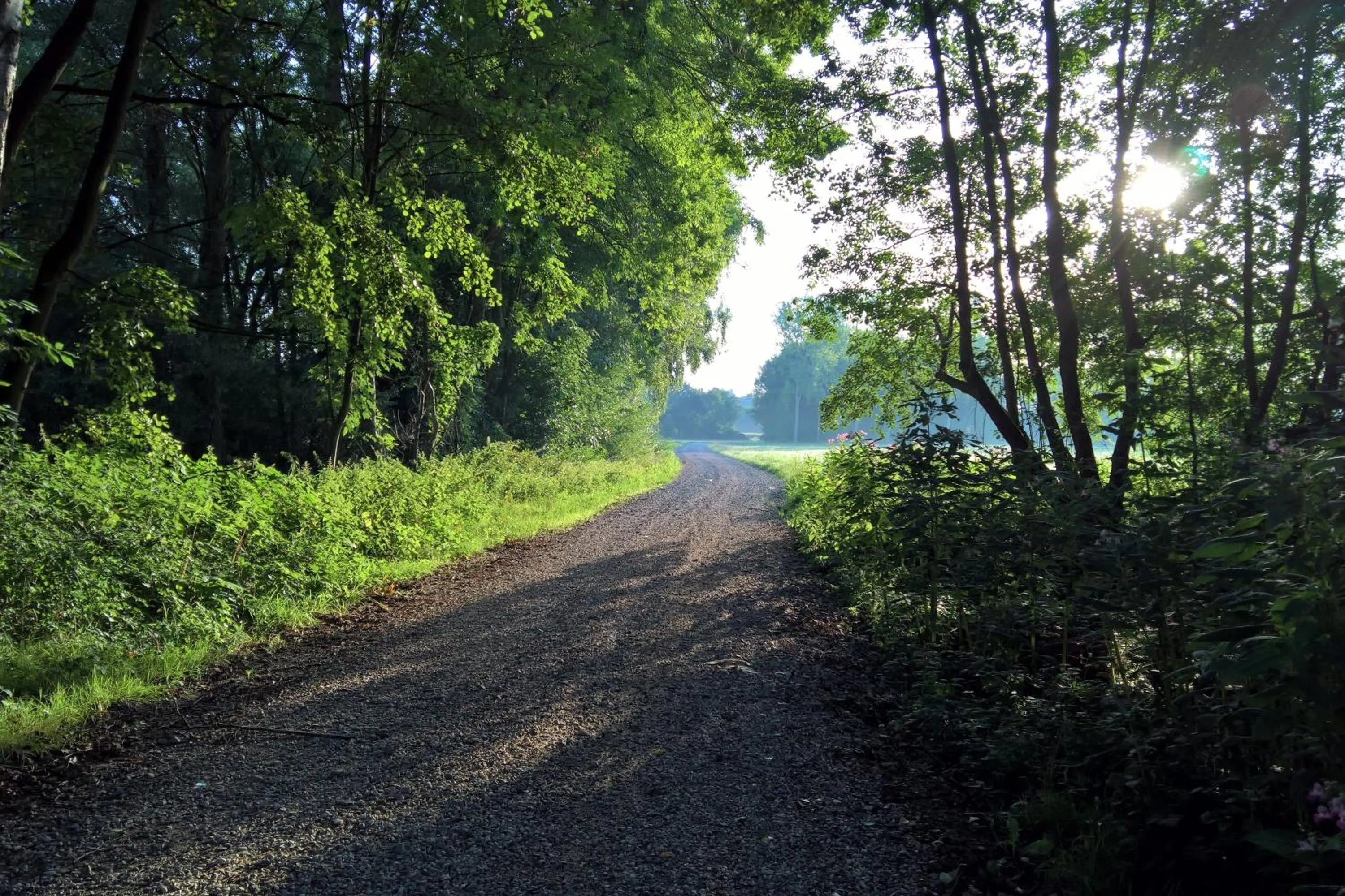 Natural landscape in Au Relais de l'Ill