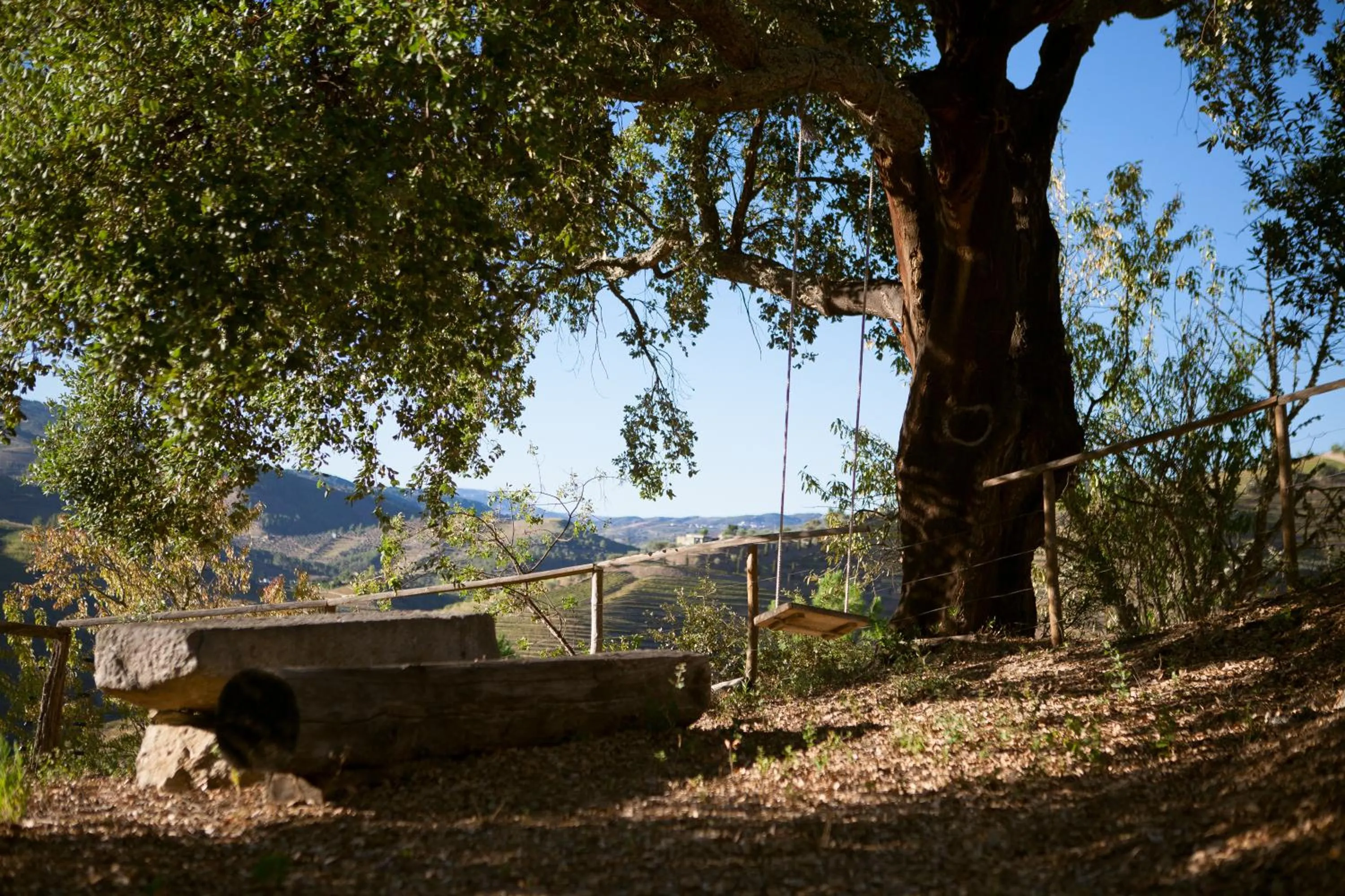 Garden in Hotel Rural da Quinta do Silval