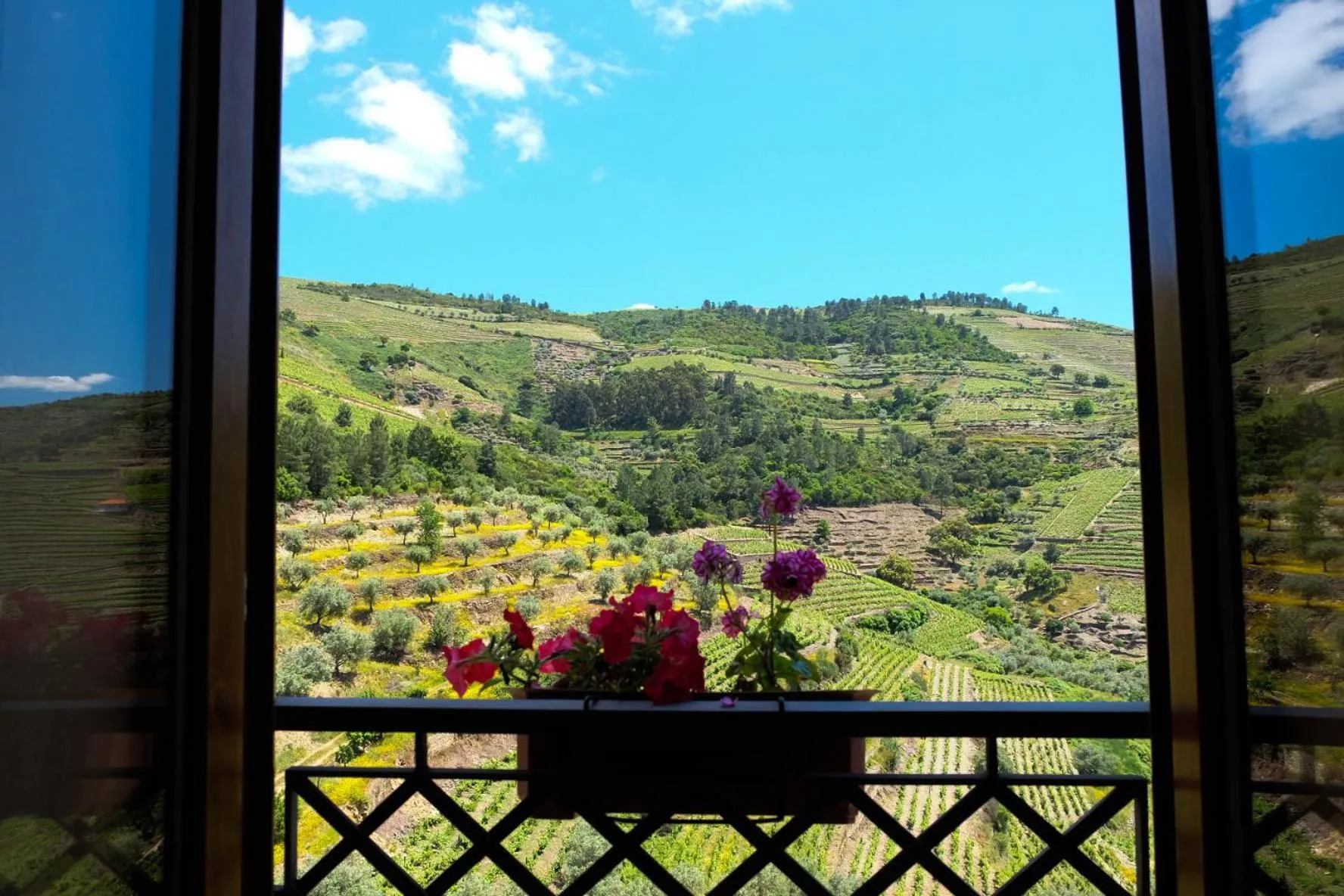 View (from property/room) in Hotel Rural da Quinta do Silval