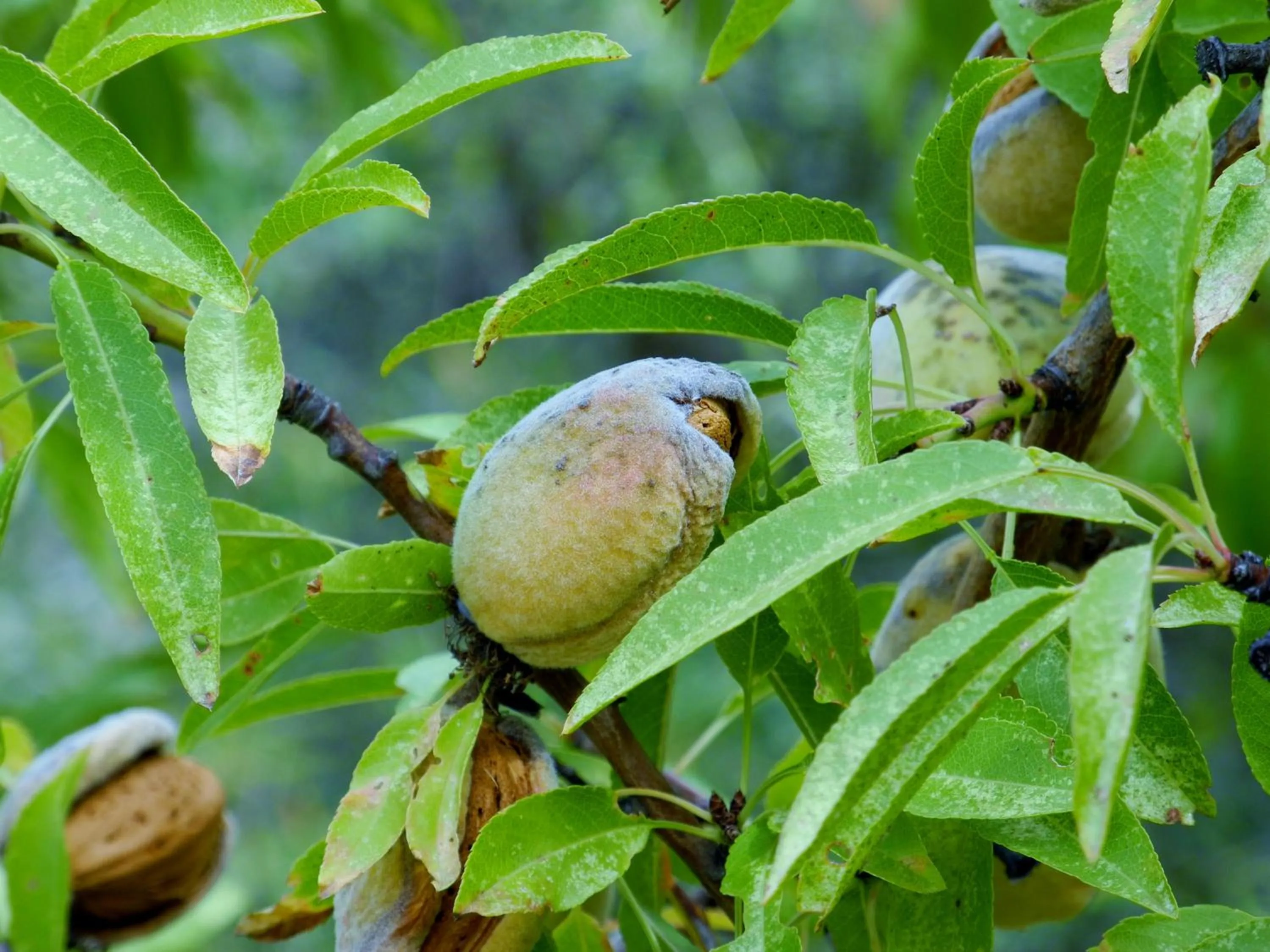 Other in Hotel Rural da Quinta do Silval