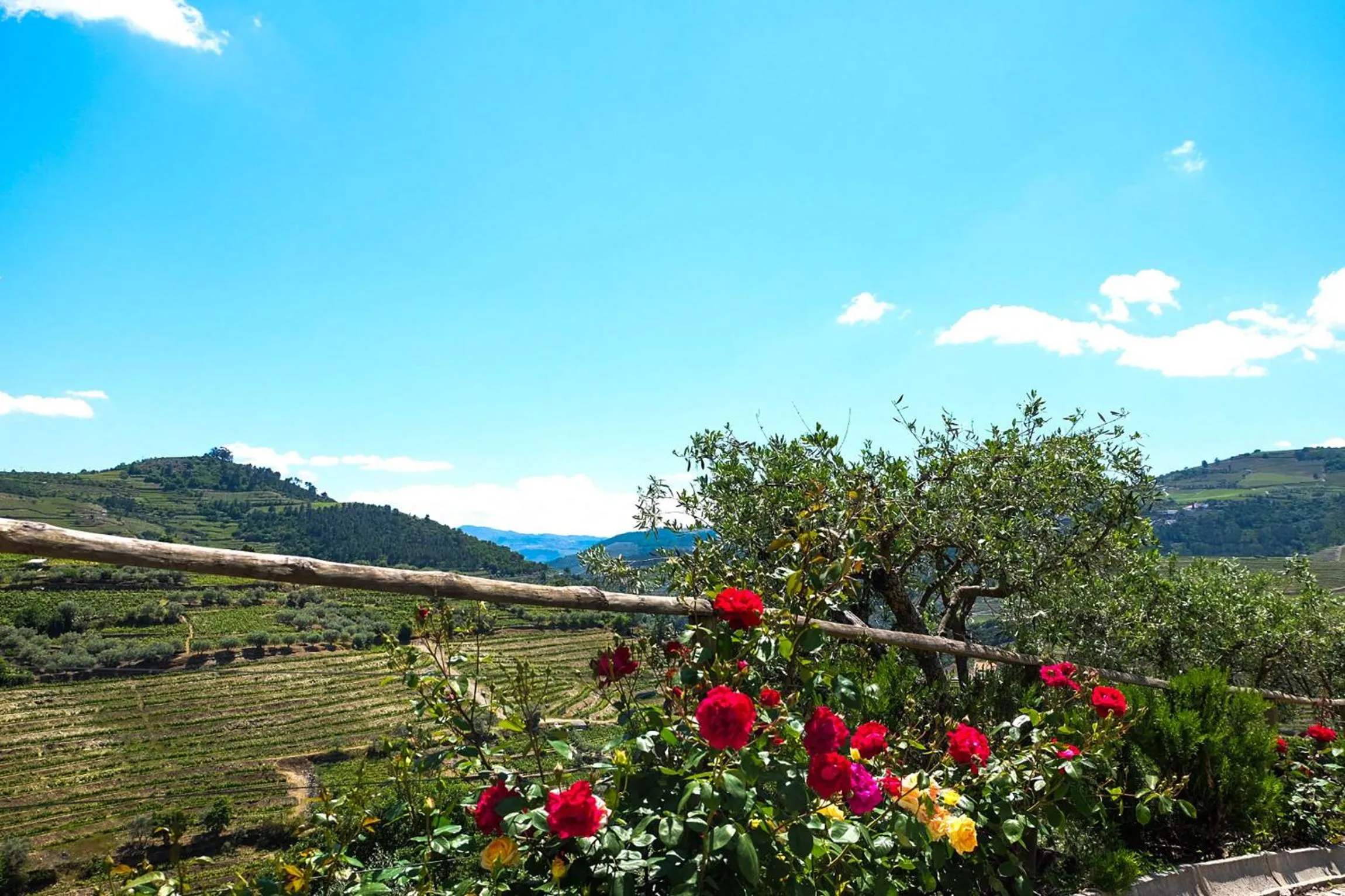 Spring in Hotel Rural da Quinta do Silval