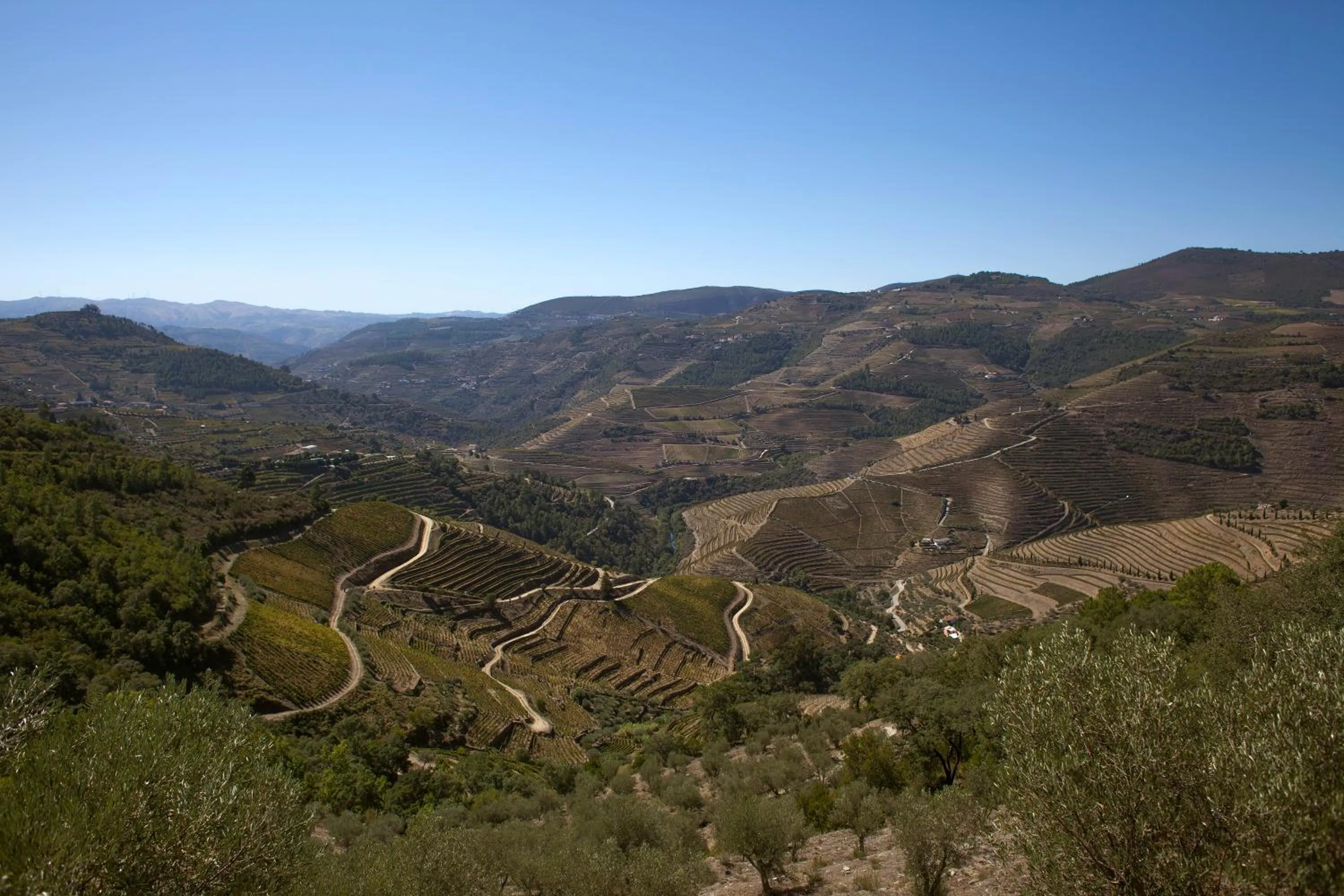 Day in Hotel Rural da Quinta do Silval