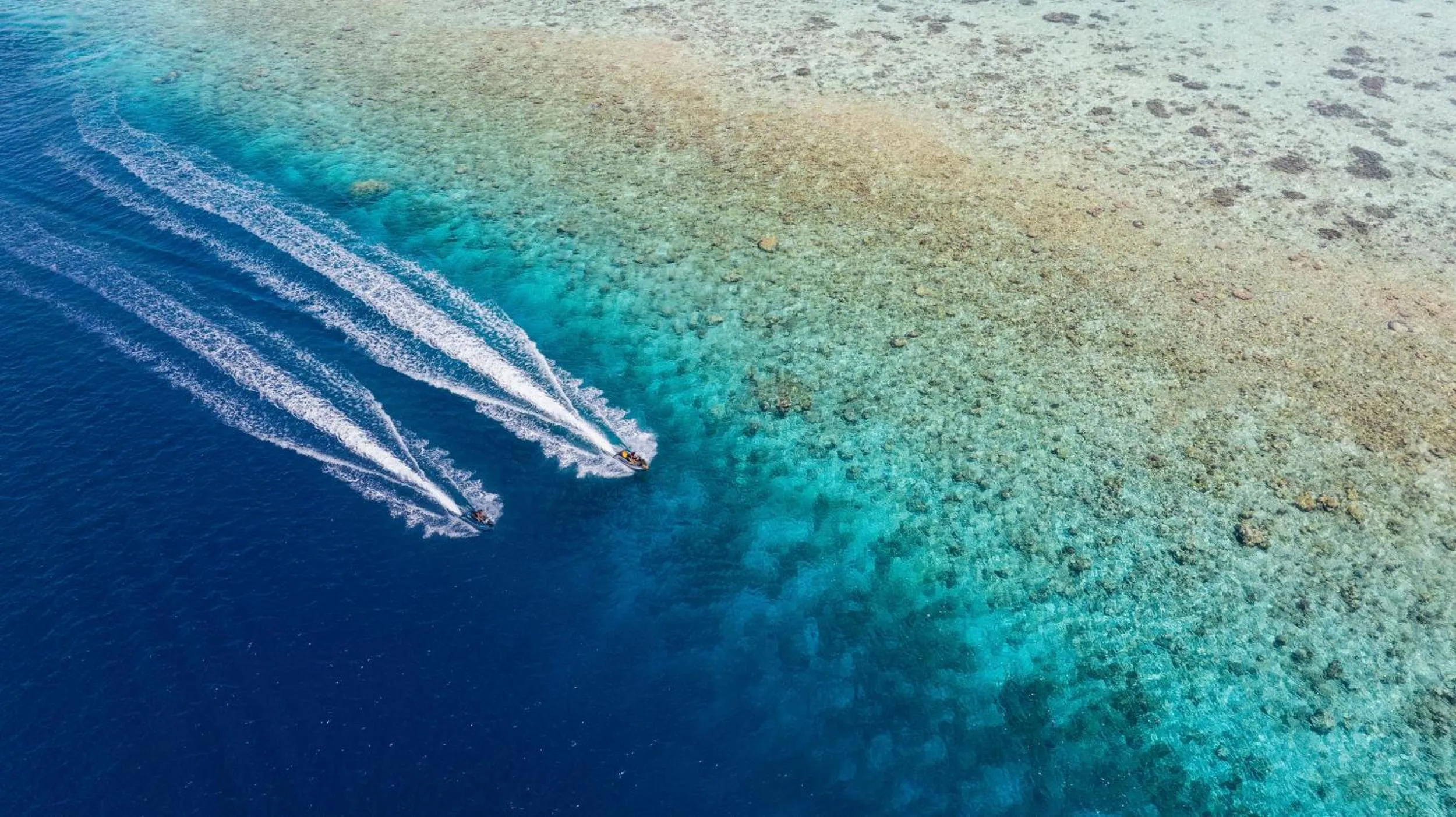 Activities in The Halcyon Private Isles Maldives, Autograph Collection