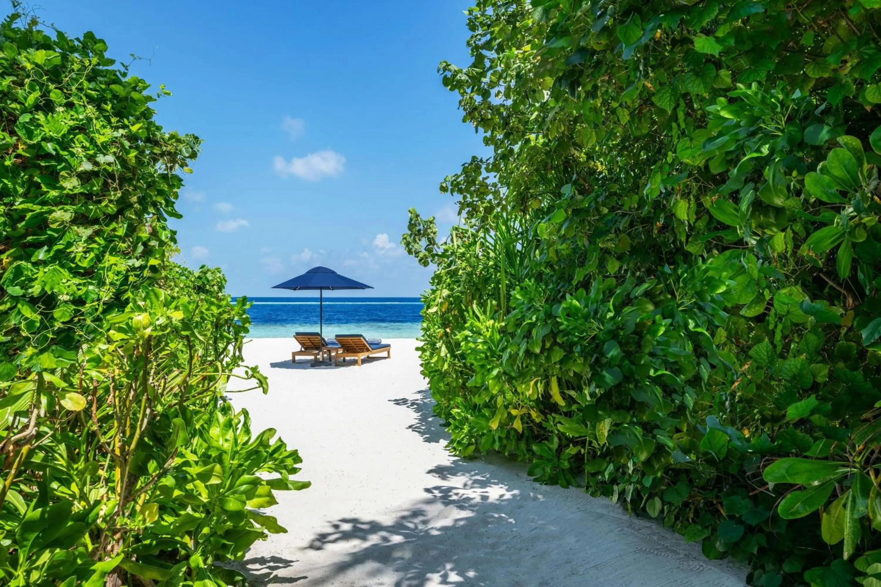 Beach in The Halcyon Private Isles Maldives, Autograph Collection