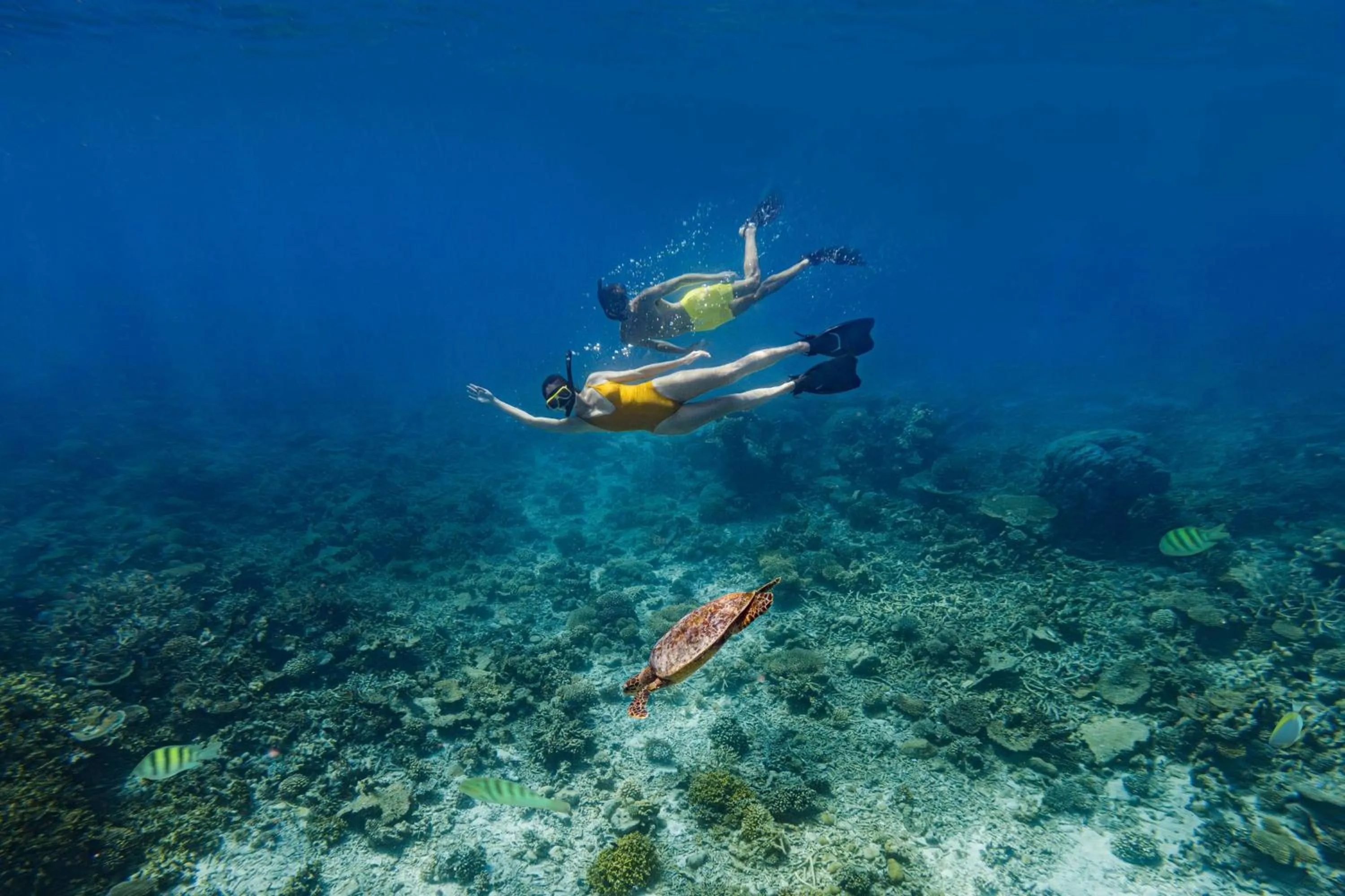 Other in The Halcyon Private Isles Maldives, Autograph Collection