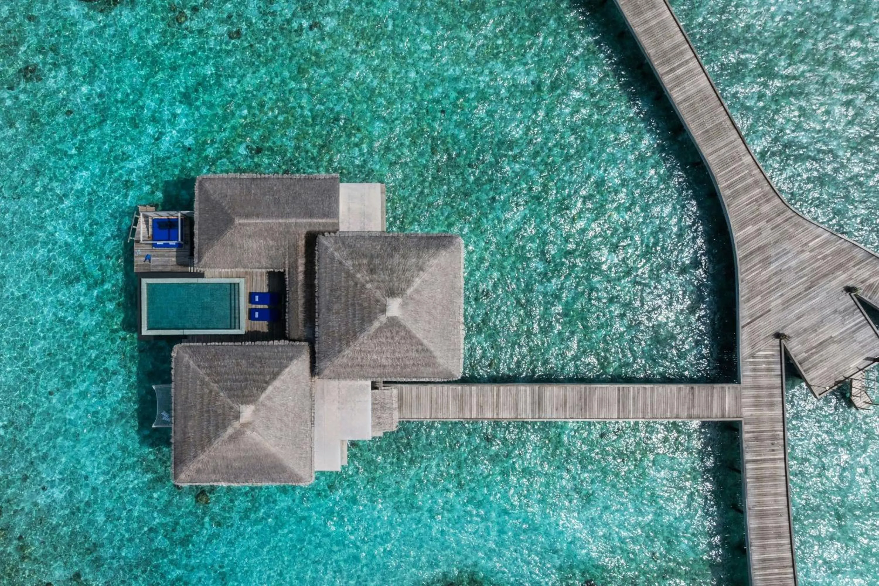 Swimming pool in The Halcyon Private Isles Maldives, Autograph Collection