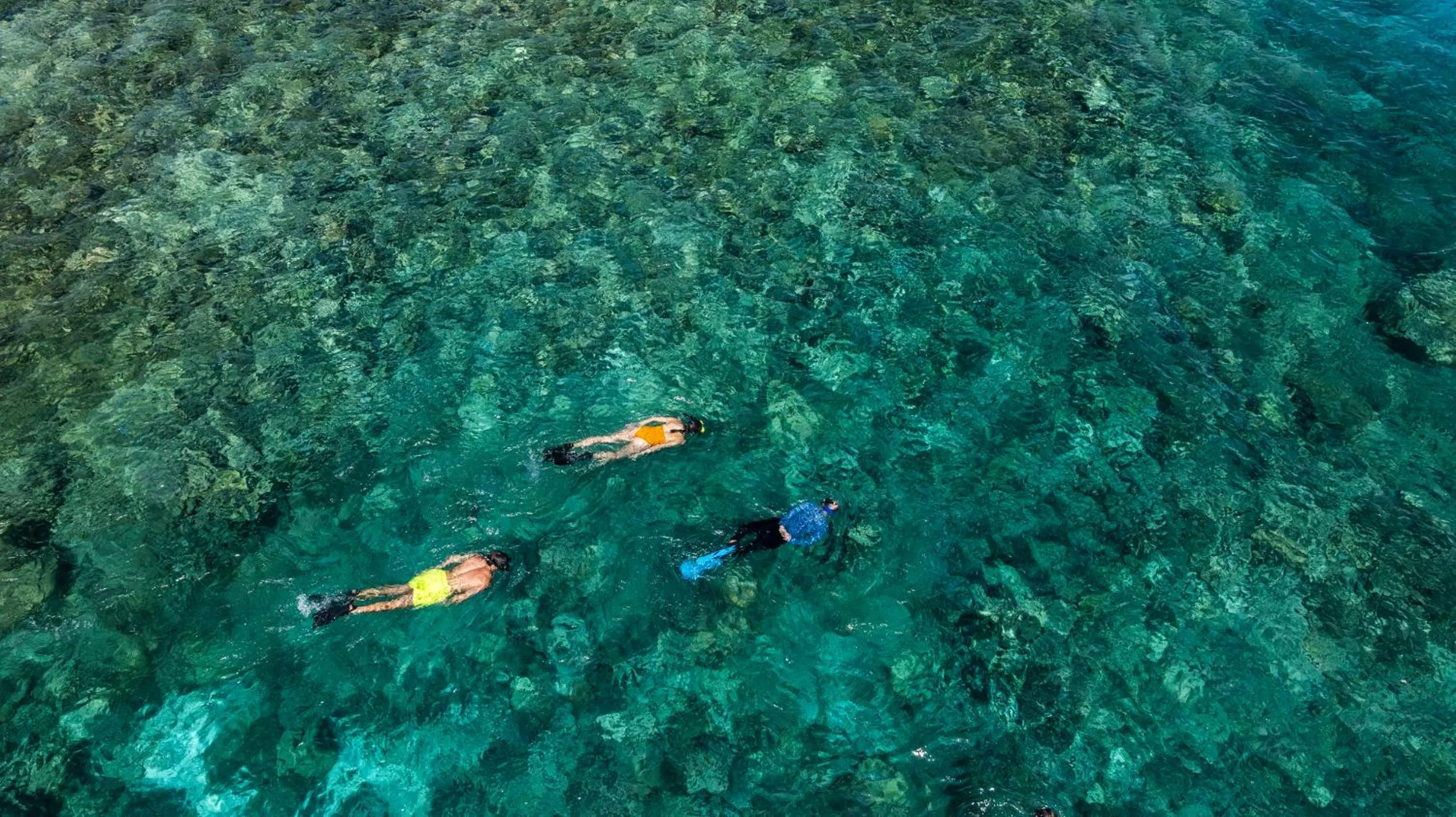 Activities in The Halcyon Private Isles Maldives, Autograph Collection