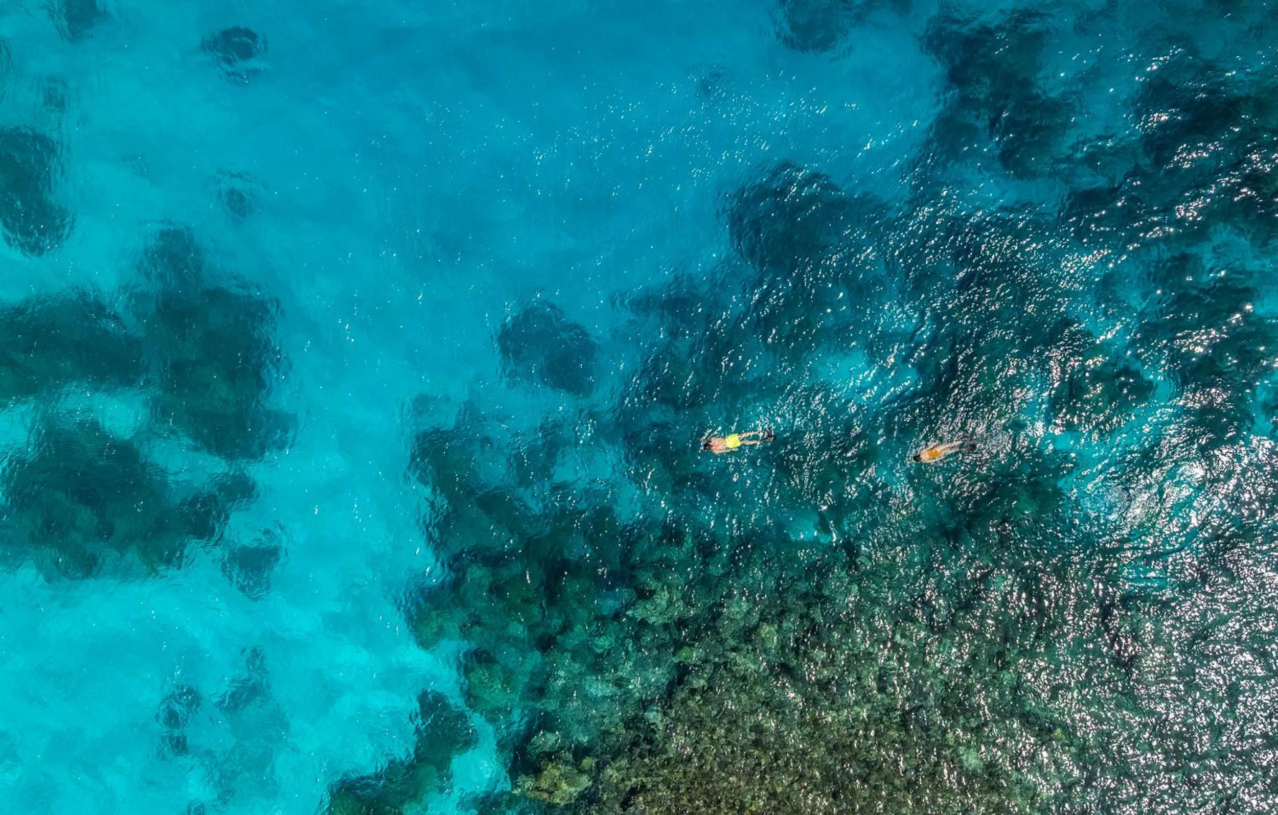 Snorkeling in The Halcyon Private Isles Maldives, Autograph Collection