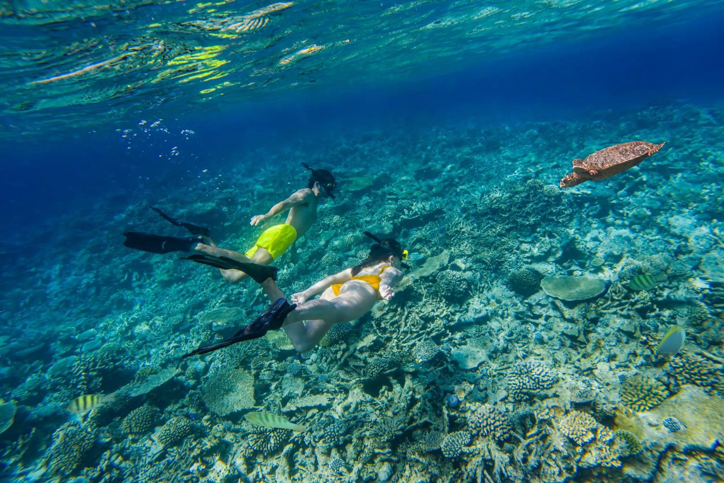 Snorkeling in The Halcyon Private Isles Maldives, Autograph Collection