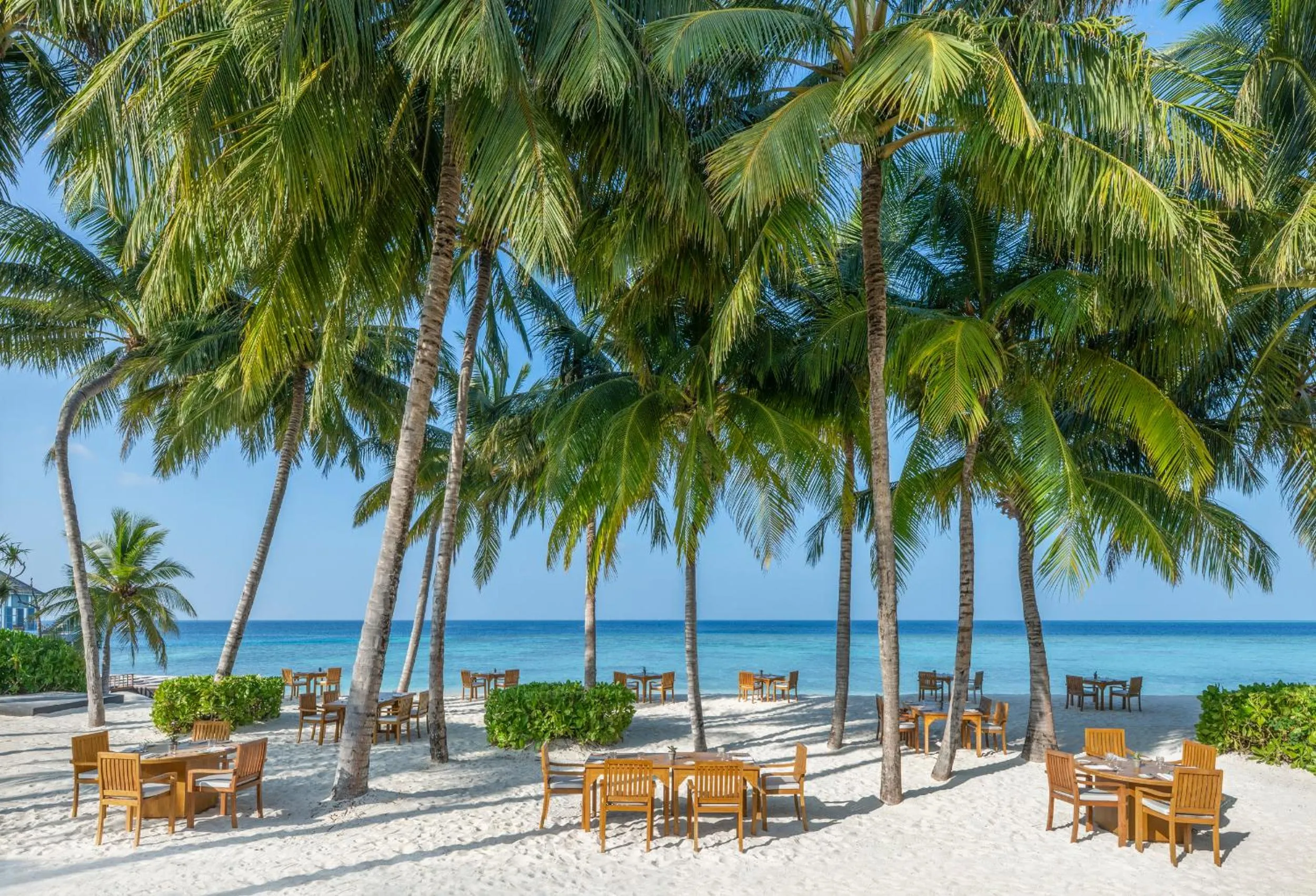 Restaurant/places to eat in The Halcyon Private Isles Maldives, Autograph Collection