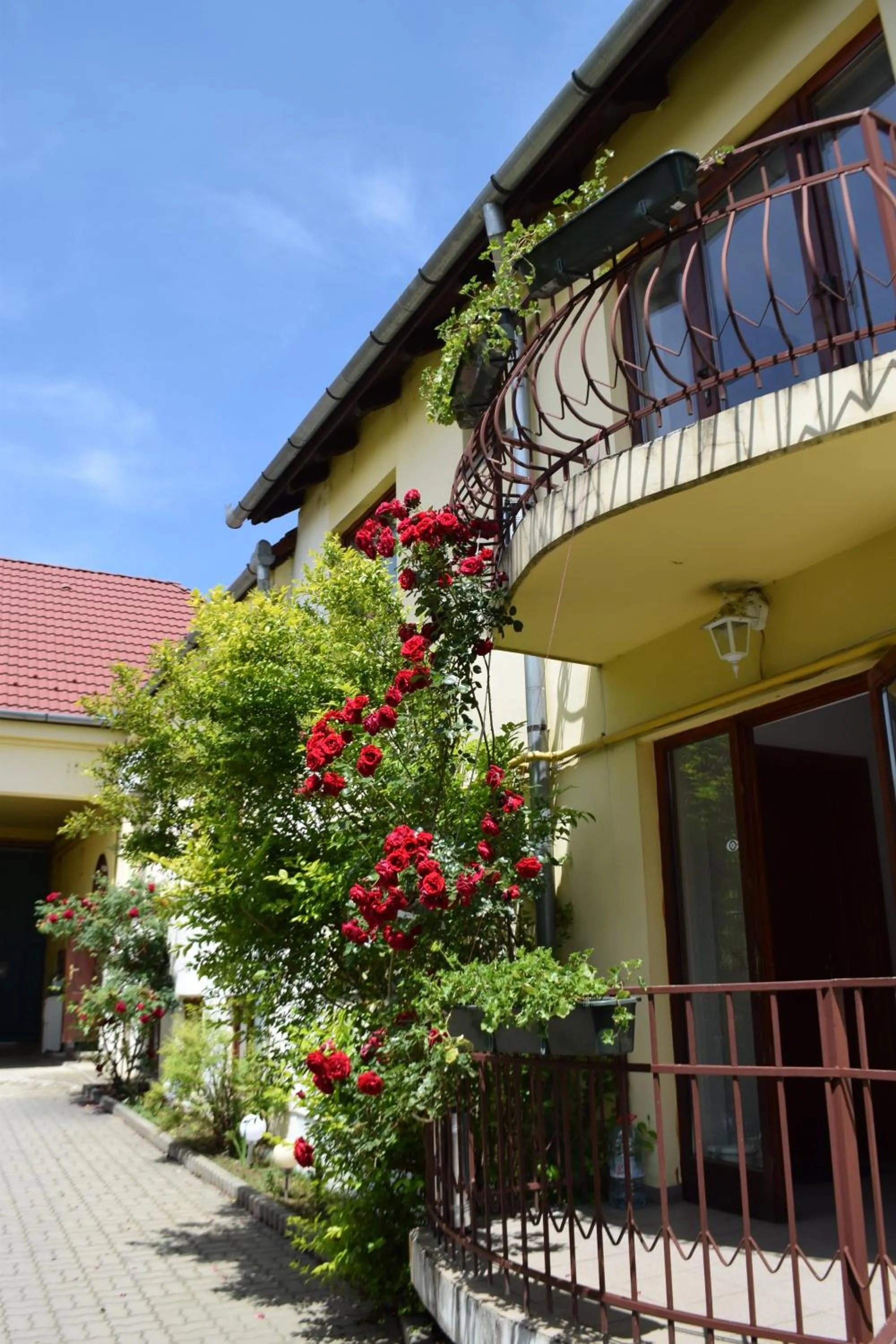 Patio in Pension GreenHouse