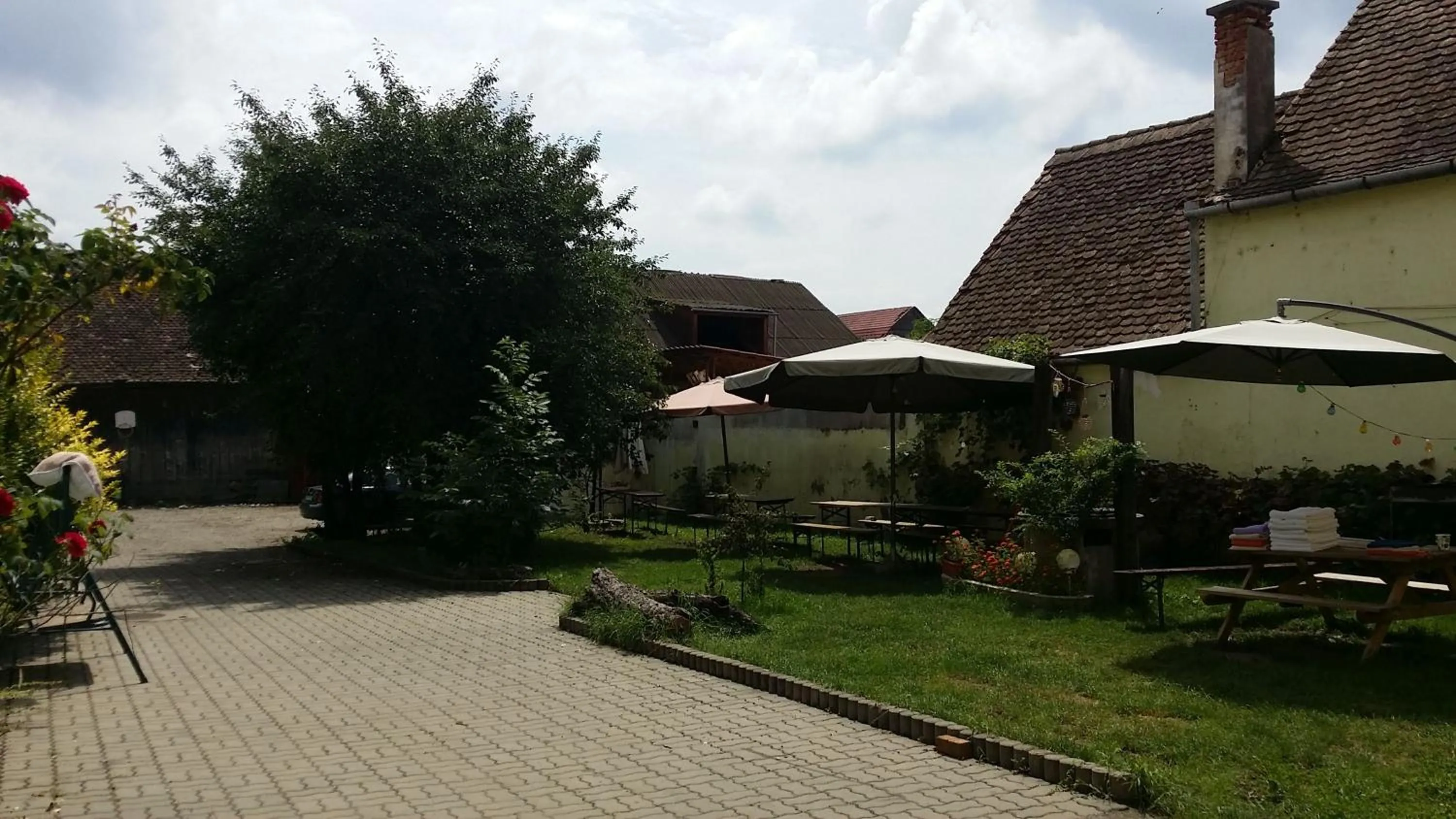 Garden in Pension GreenHouse