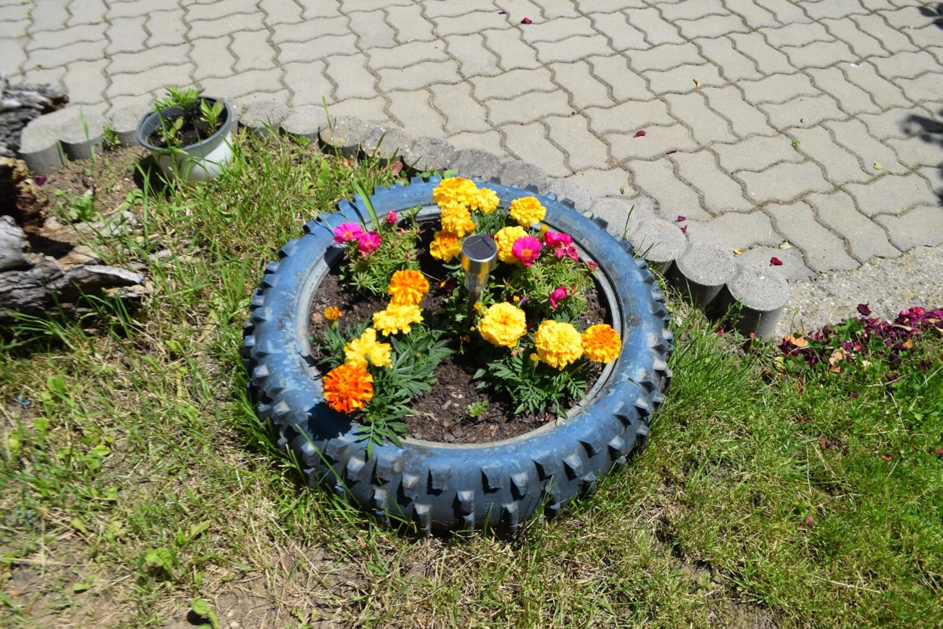 Natural landscape in Pension GreenHouse