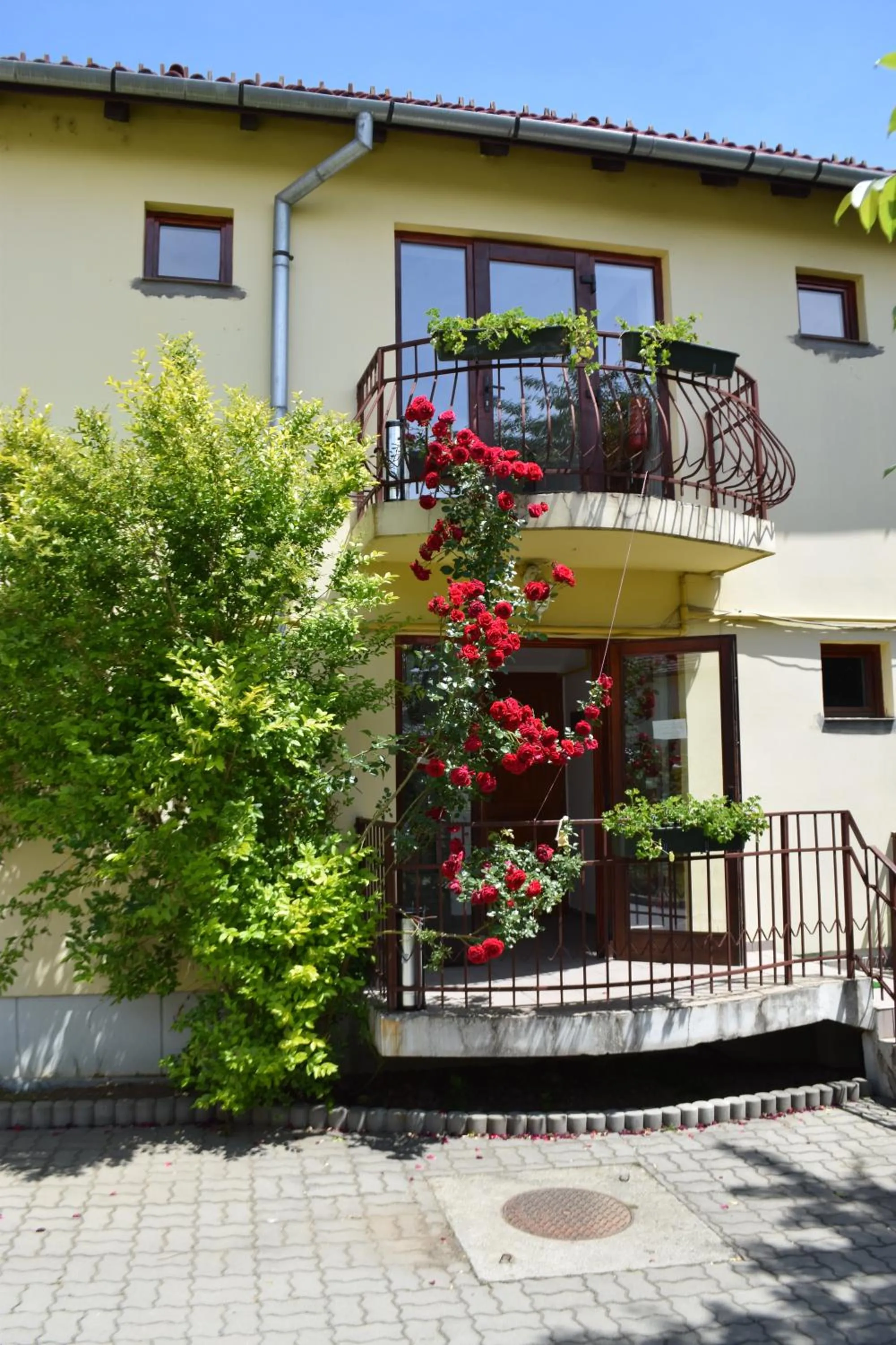 Property building in Pension GreenHouse