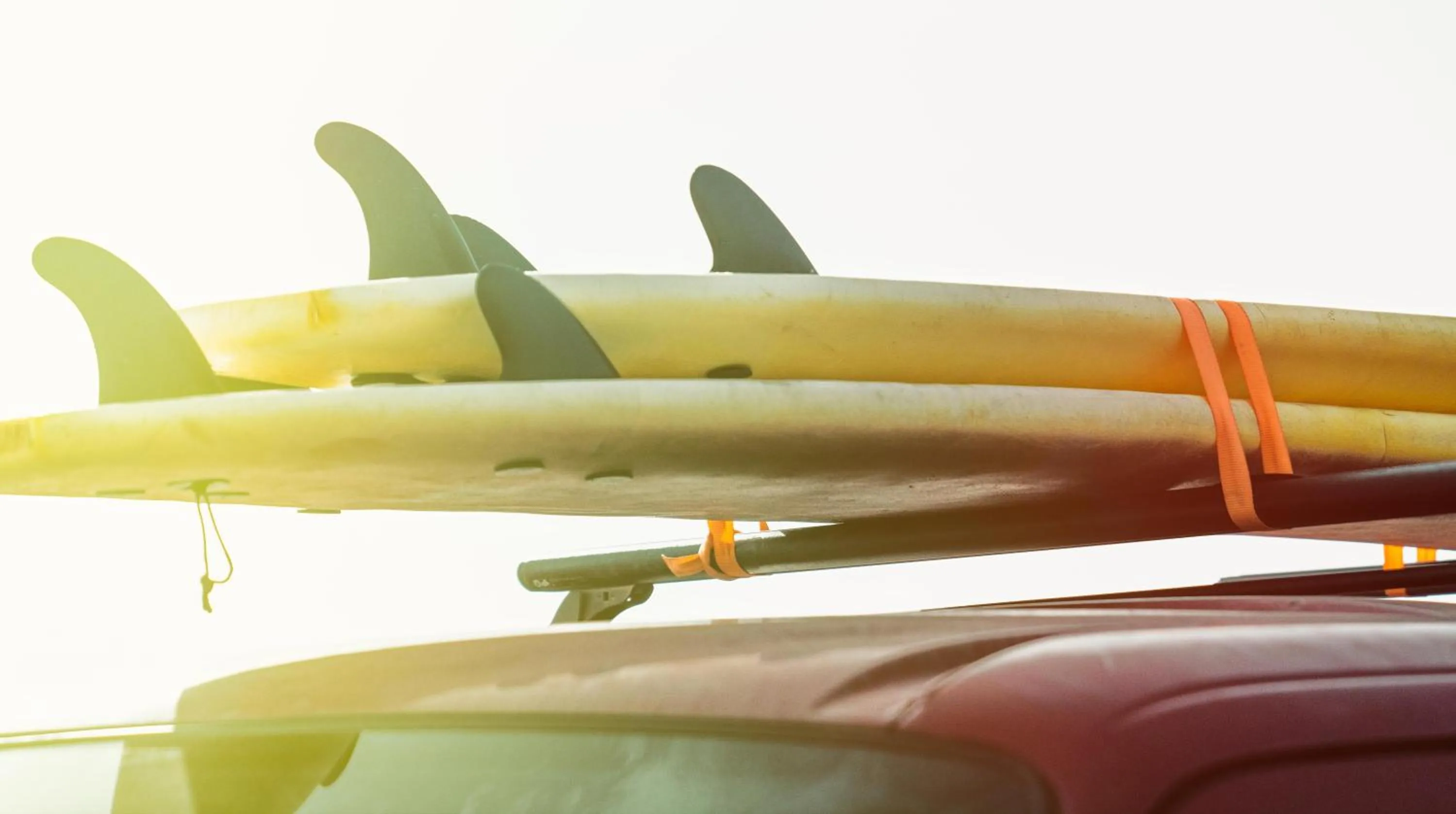 Activities in Buendía Corralejo Nohotel