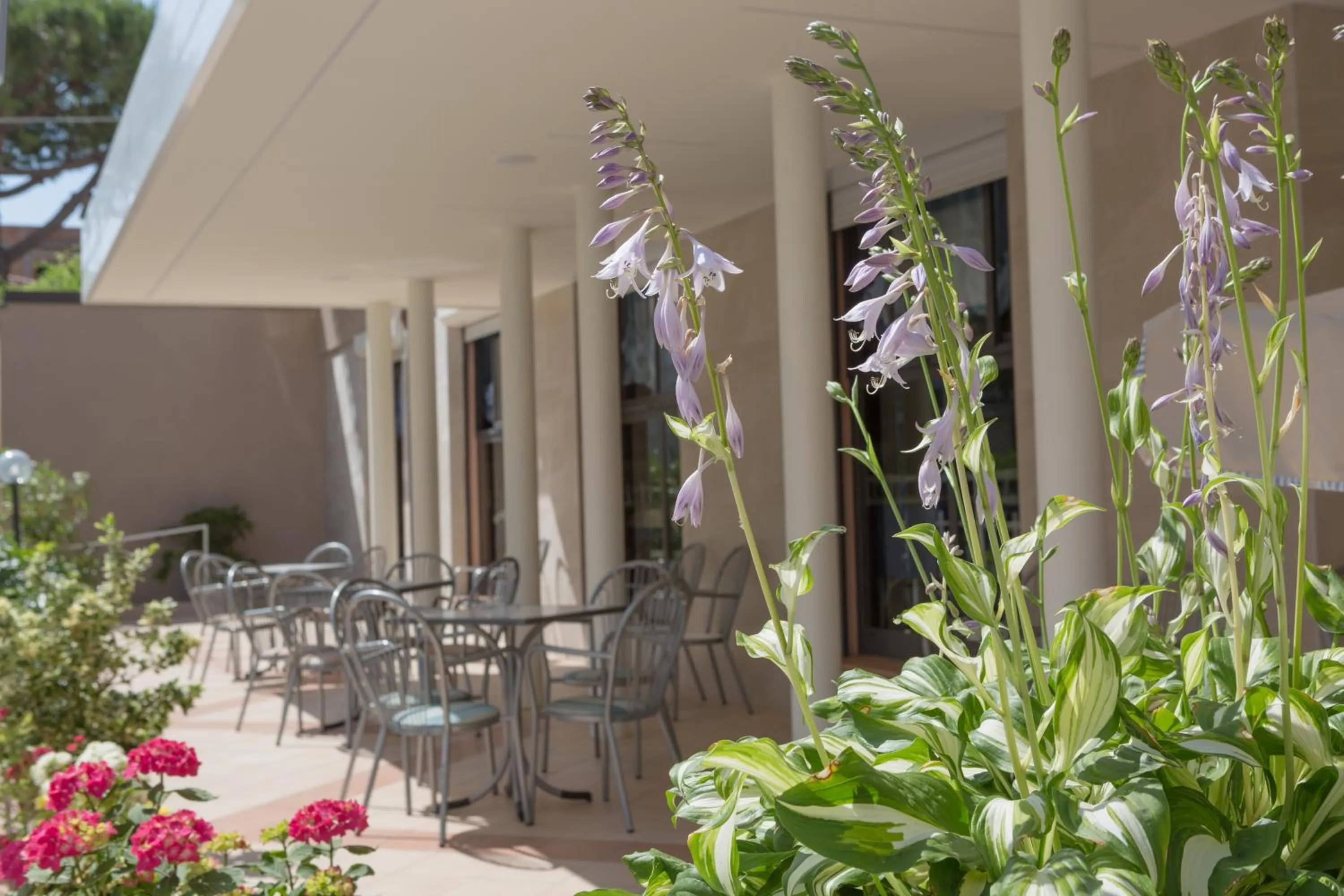 View (from property/room) in Hotel Letizia